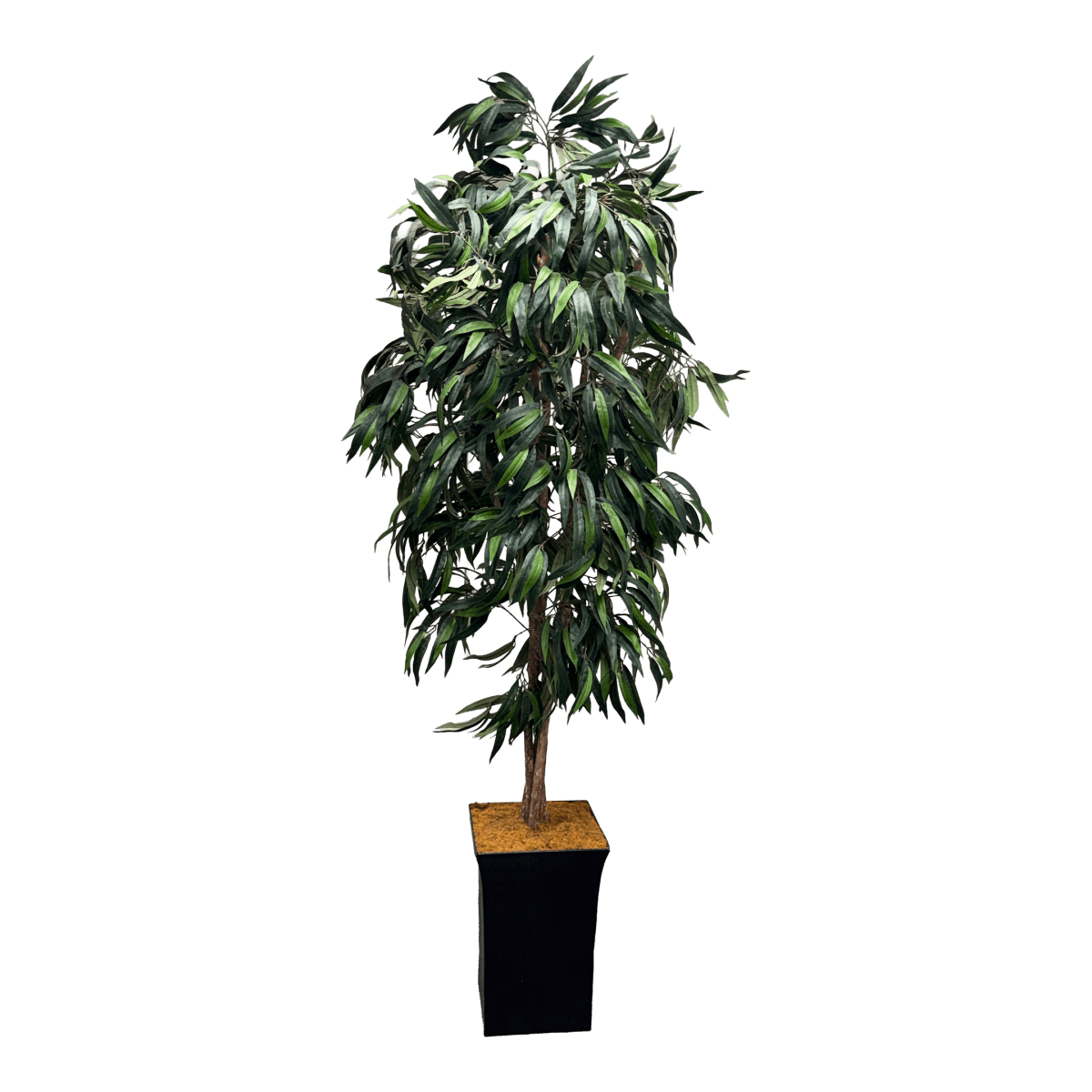 Faux Mango Tree + Tapered Black Planter - Thumbnail 2