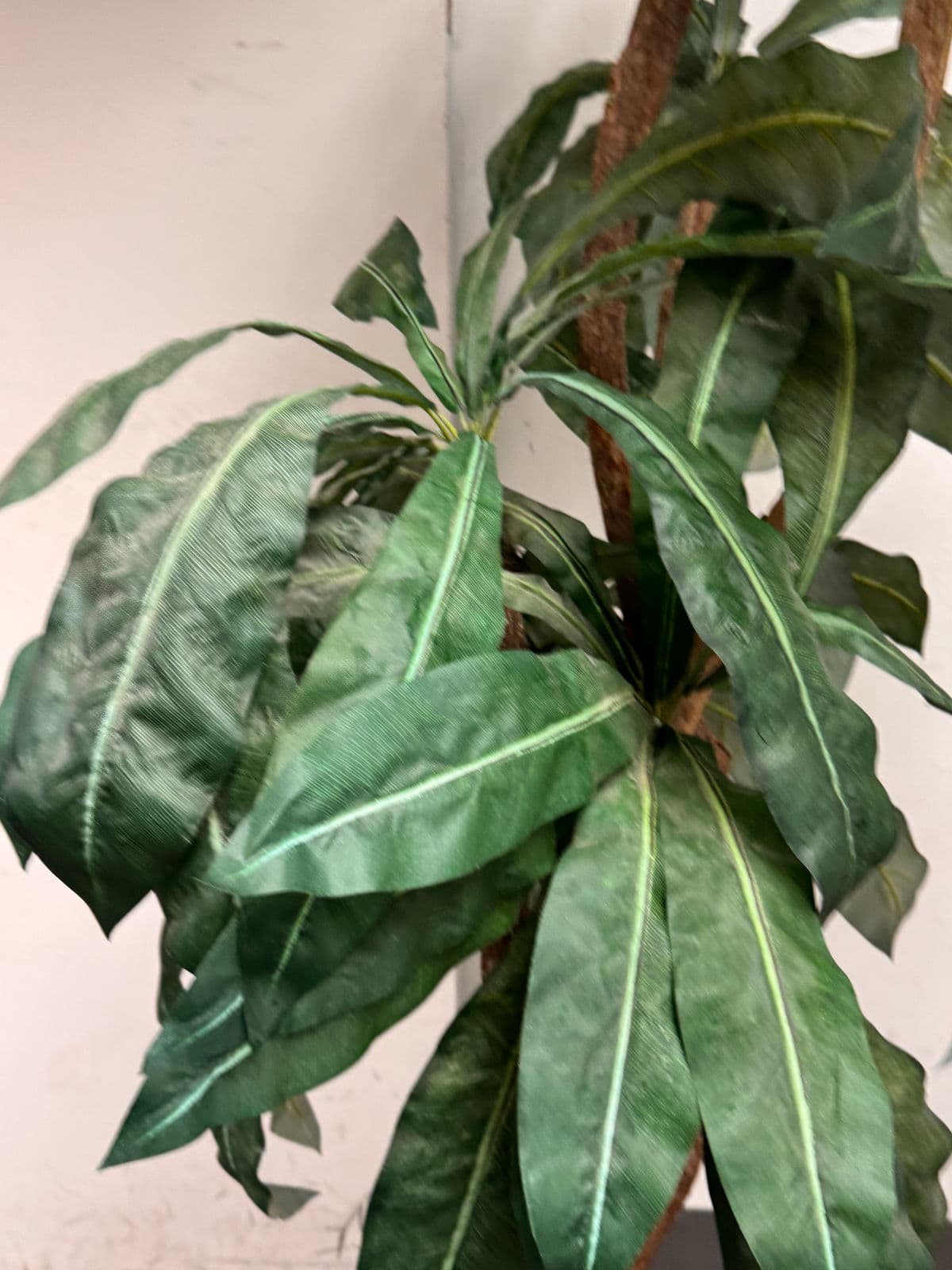 Faux Bird Nest Palm + Black Tapered Planter - Thumbnail 12