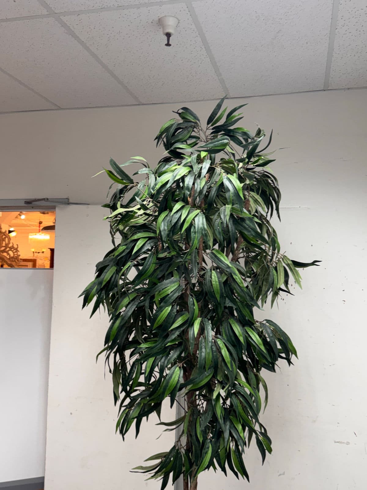 Faux Mango Tree + Tapered Black Planter - Thumbnail 4