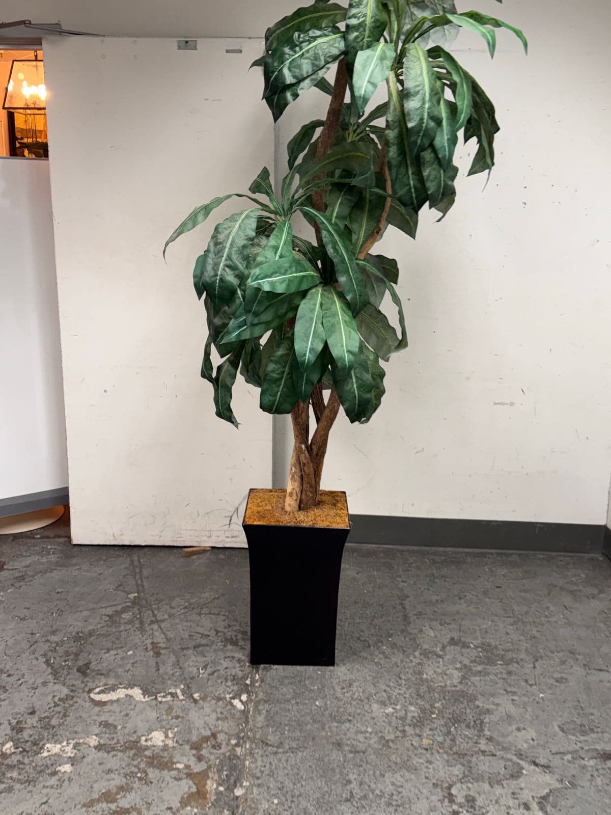 Faux Bird Nest Palm + Black Tapered Planter - Thumbnail 7