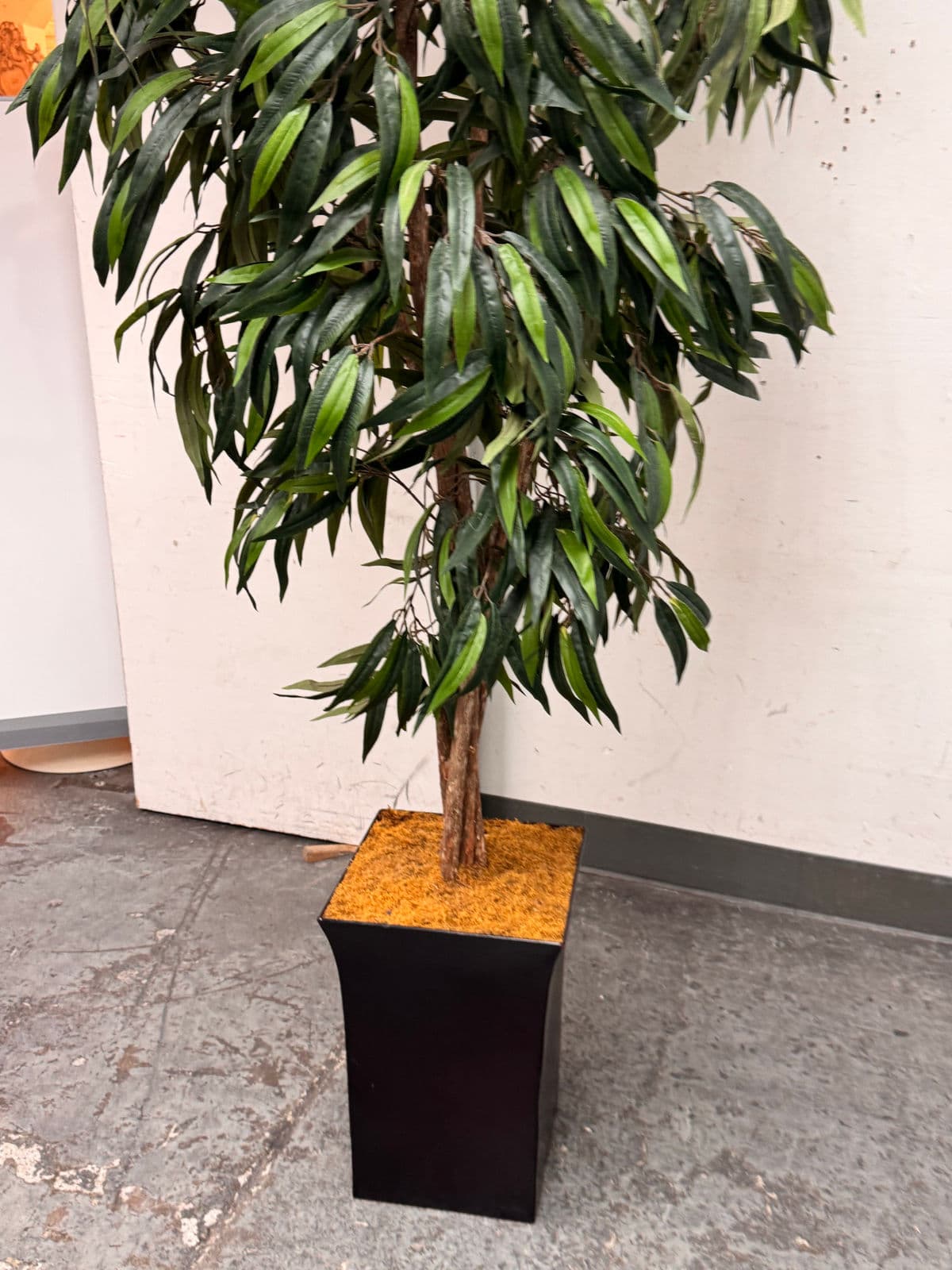 Faux Mango Tree + Tapered Black Planter - Thumbnail 9