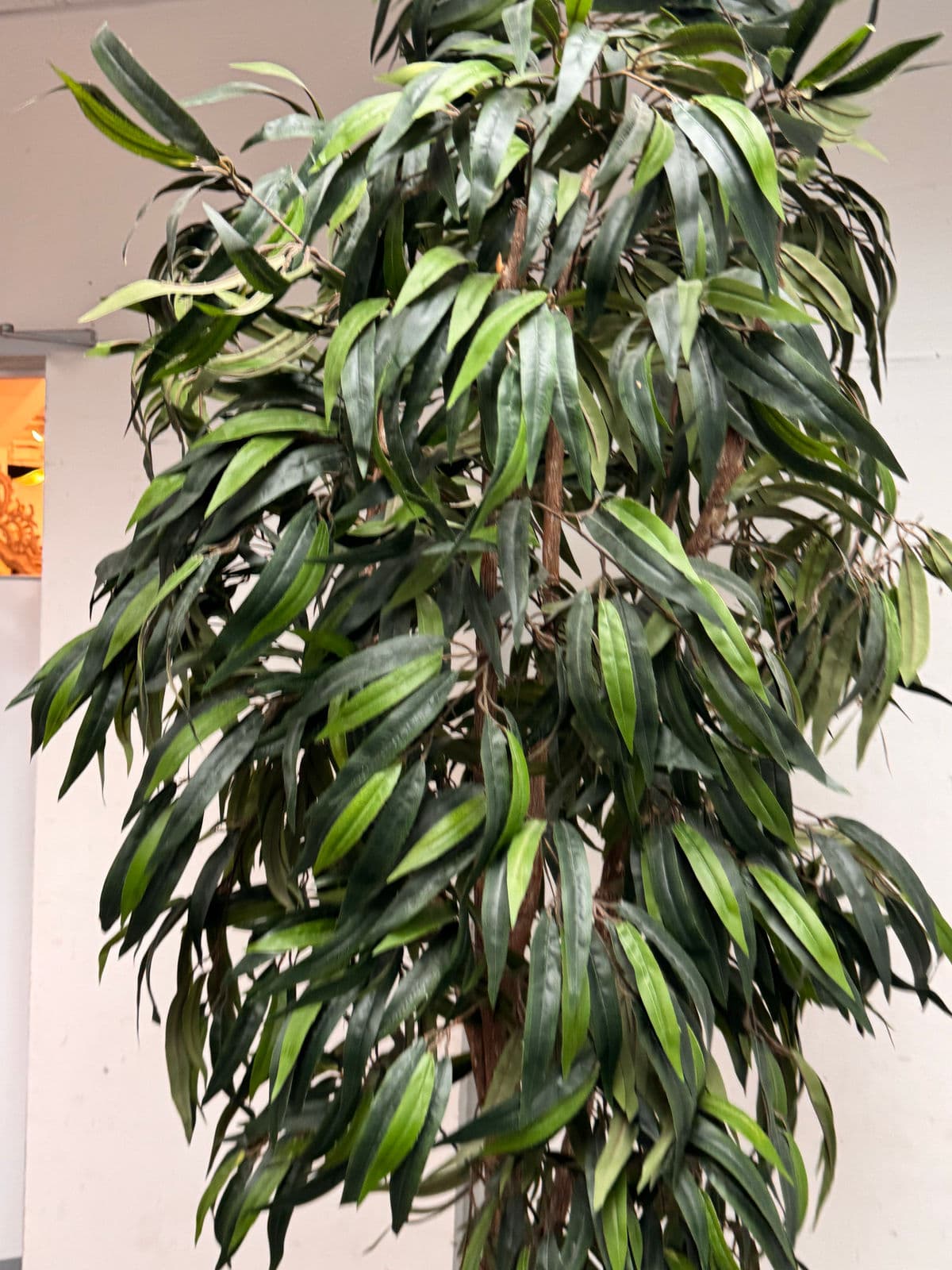 Faux Mango Tree + Tapered Black Planter - Thumbnail 12