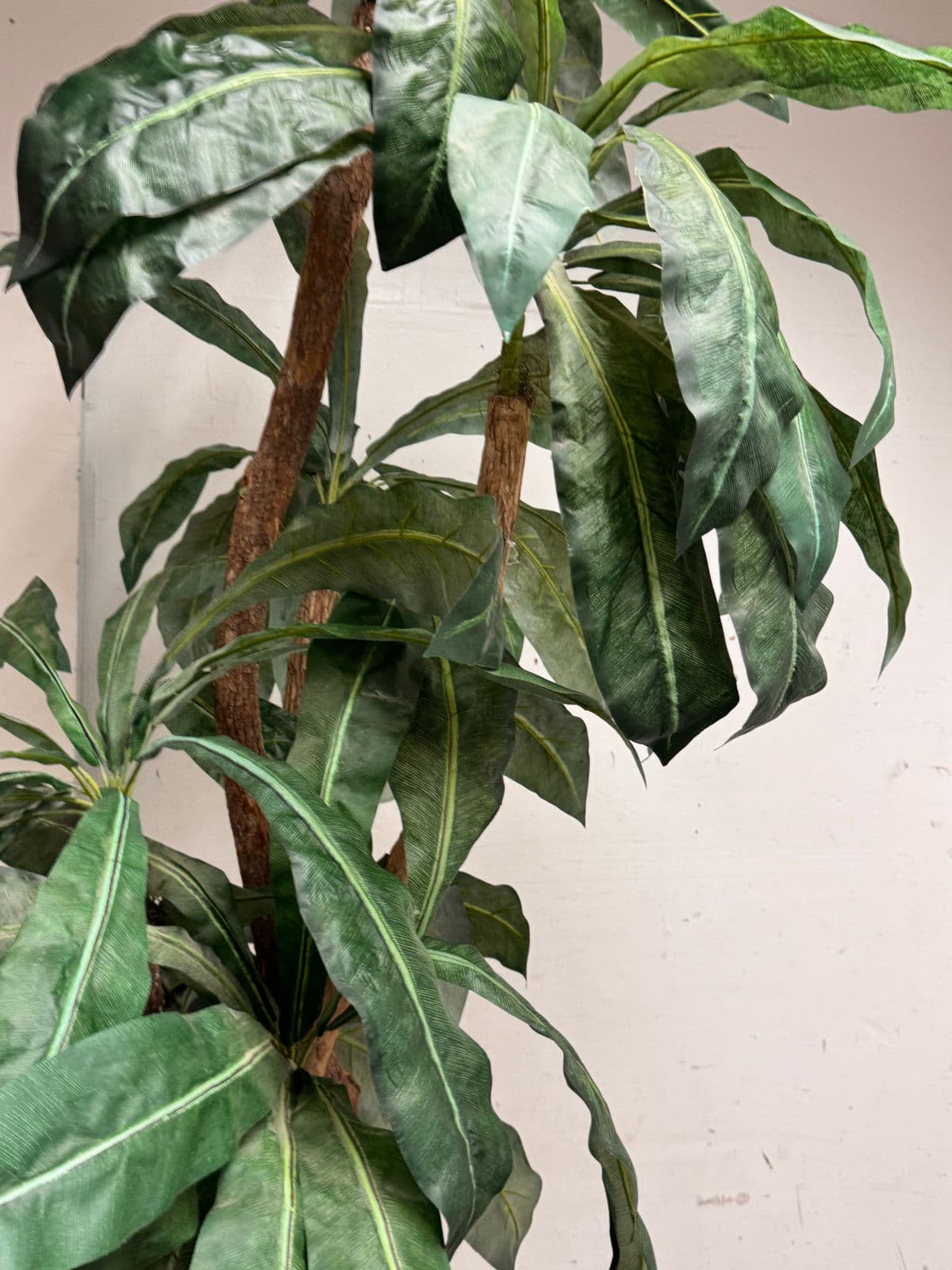 Faux Bird Nest Palm + Black Tapered Planter - Thumbnail 11