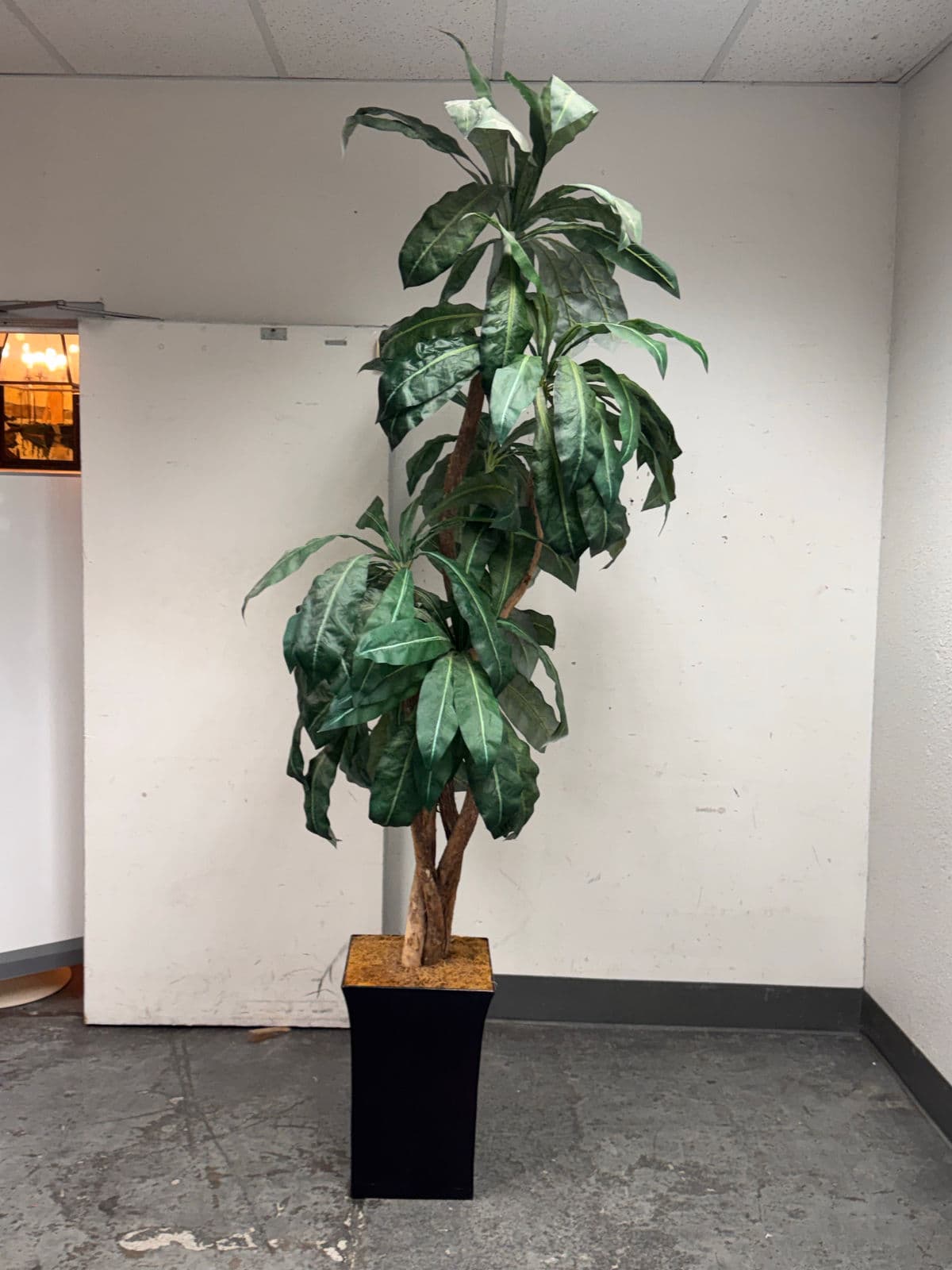 Faux Bird Nest Palm + Black Tapered Planter - Thumbnail 5