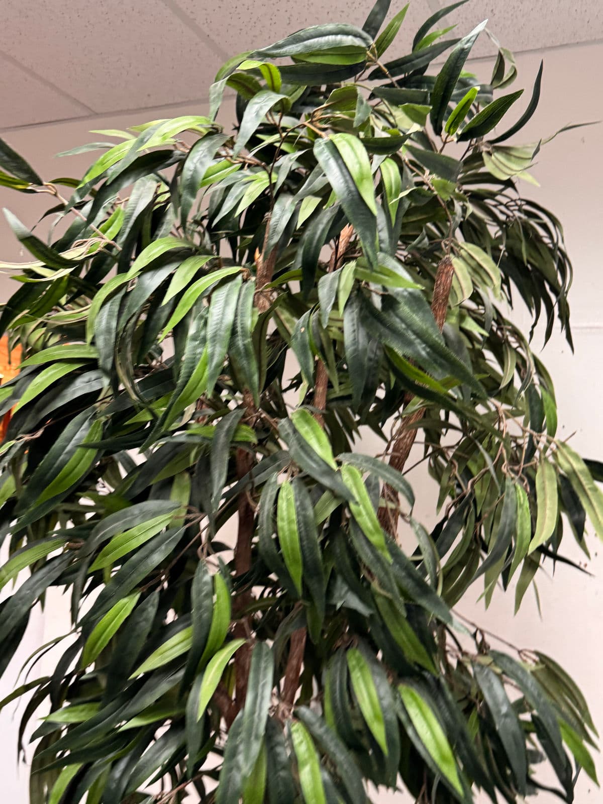 Faux Mango Tree + Tapered Black Planter - Thumbnail 8