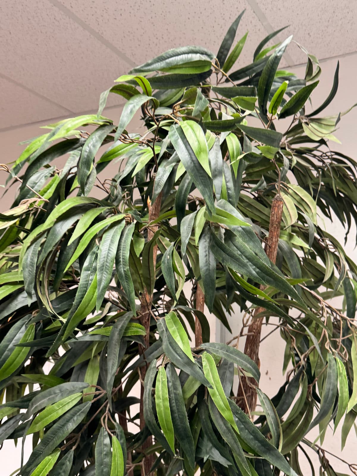 Faux Mango Tree + Tapered Black Planter - Thumbnail 7