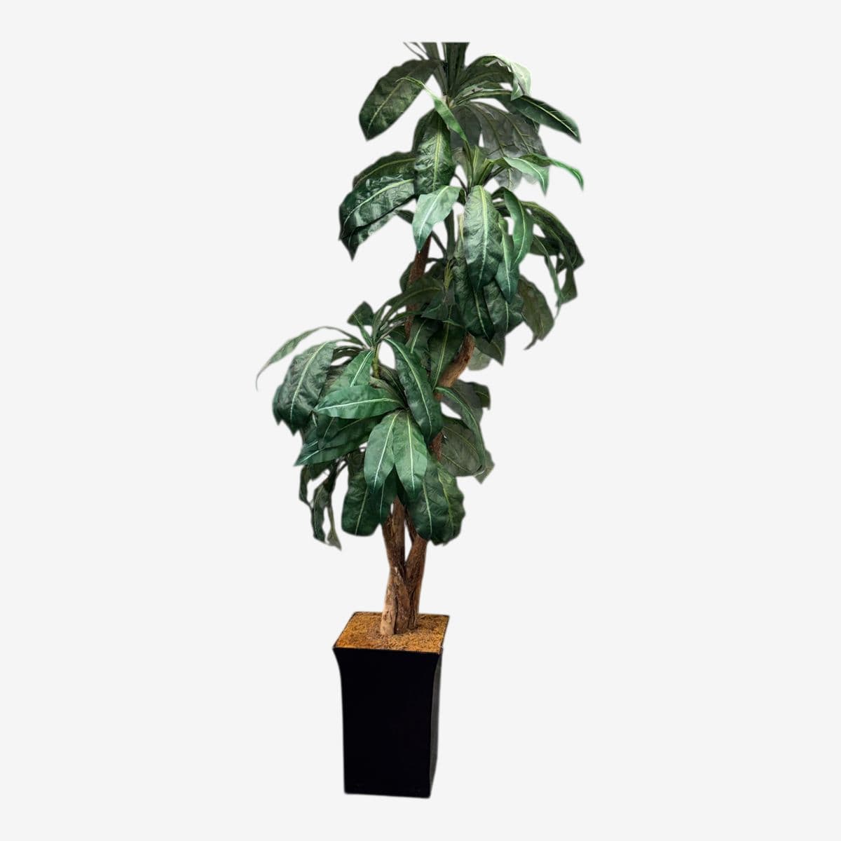 Faux Bird Nest Palm + Black Tapered Planter - Image 1