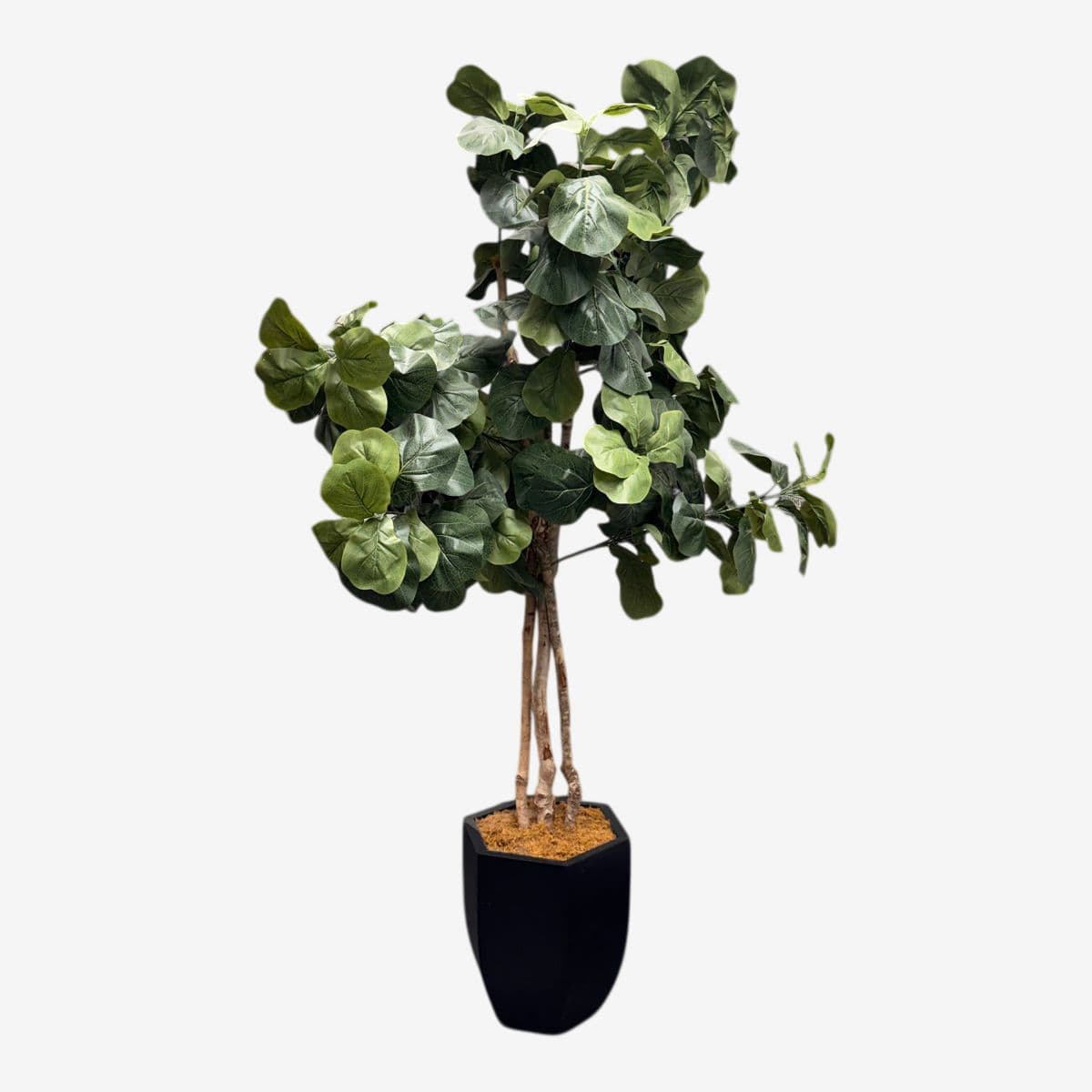 Faux Fiddle Leaf Fig Tree + Tapered Black Planter - Image 1