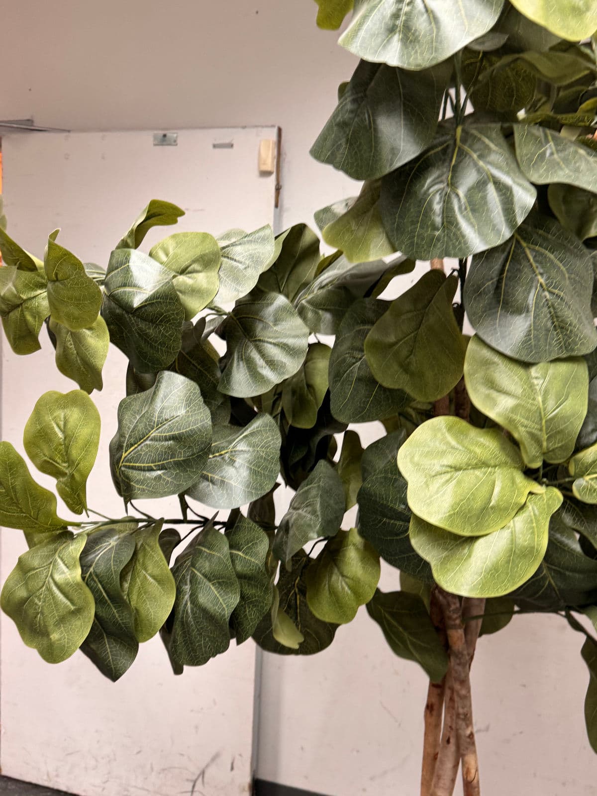 Faux Fiddle Leaf Fig Tree + Tapered Black Planter - Thumbnail 13