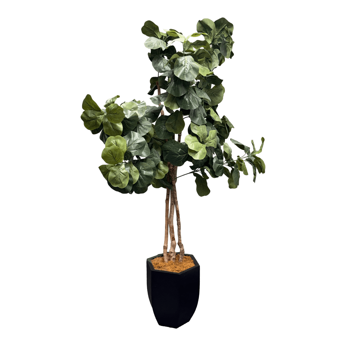 Faux Fiddle Leaf Fig Tree + Tapered Black Planter - Thumbnail 2