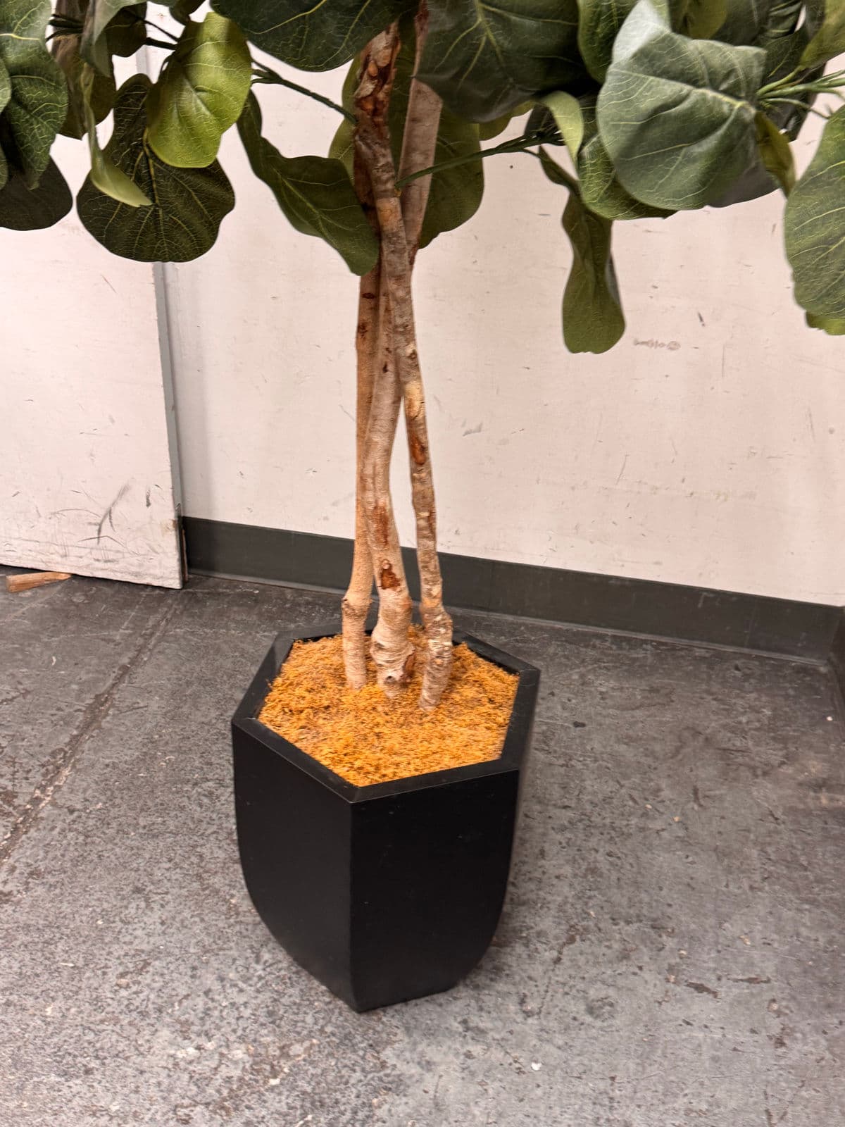 Faux Fiddle Leaf Fig Tree + Tapered Black Planter - Thumbnail 11