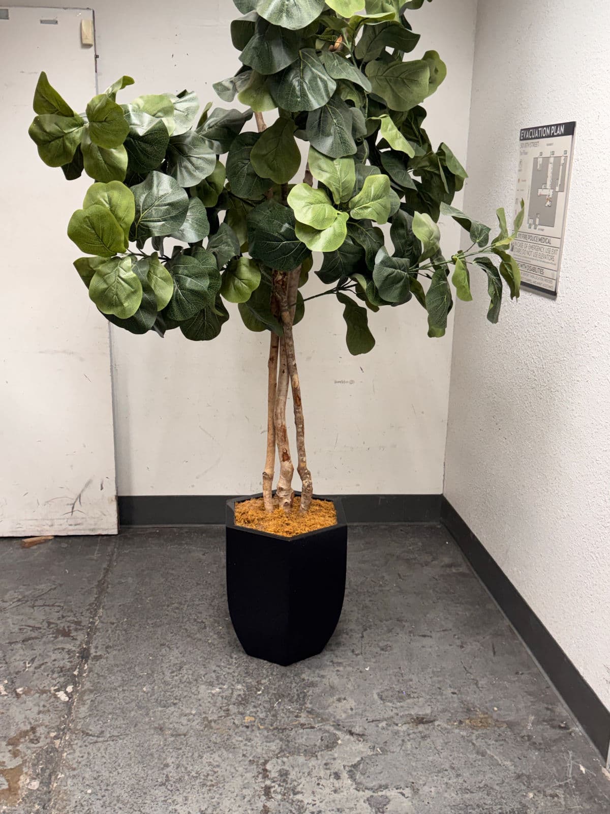 Faux Fiddle Leaf Fig Tree + Tapered Black Planter - Thumbnail 5