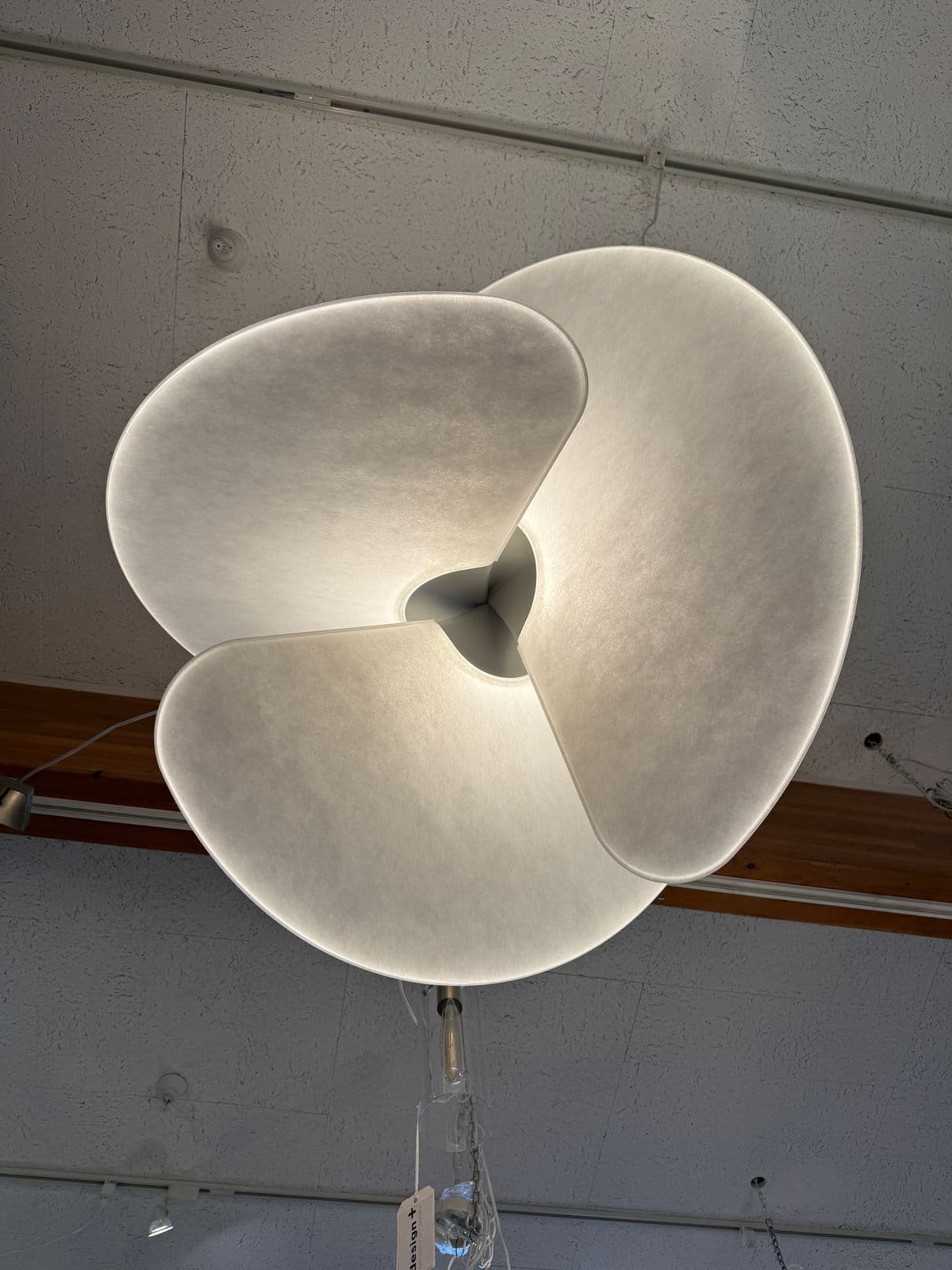 Luceplan Levante Chandelier, Large - Thumbnail 4