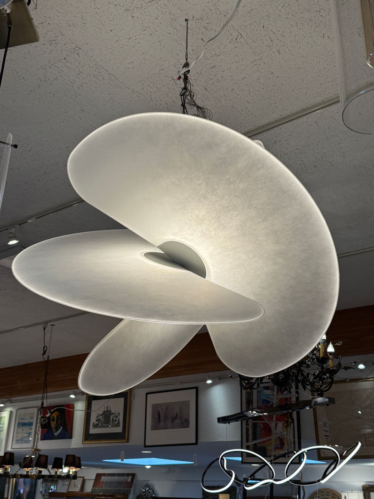 Luceplan Levante Chandelier, Large - Thumbnail 13