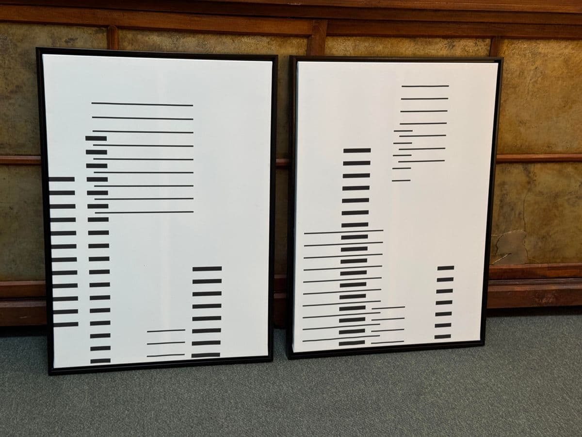 Calligaris Prints in the Style of Josef Alber, Pair - Thumbnail 13