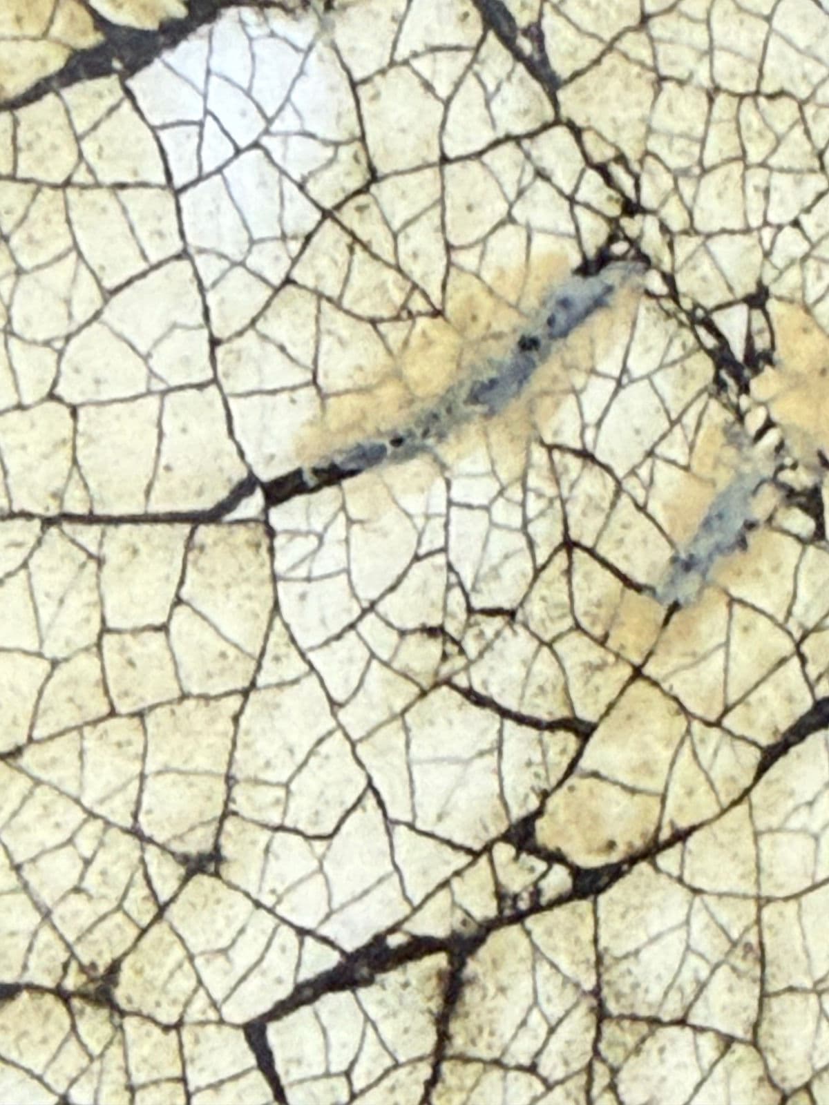 Monumental Africa Collection Eggshell Inlay Wood + Lacquer Wall Mirror, Circa 1970s - Thumbnail 7