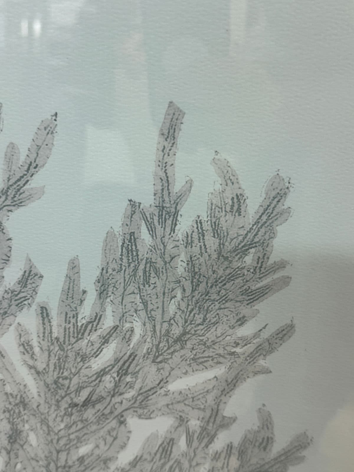 Soicher Marin Gallery Blue Ocean Coral Prints, Set of Three - Thumbnail 9