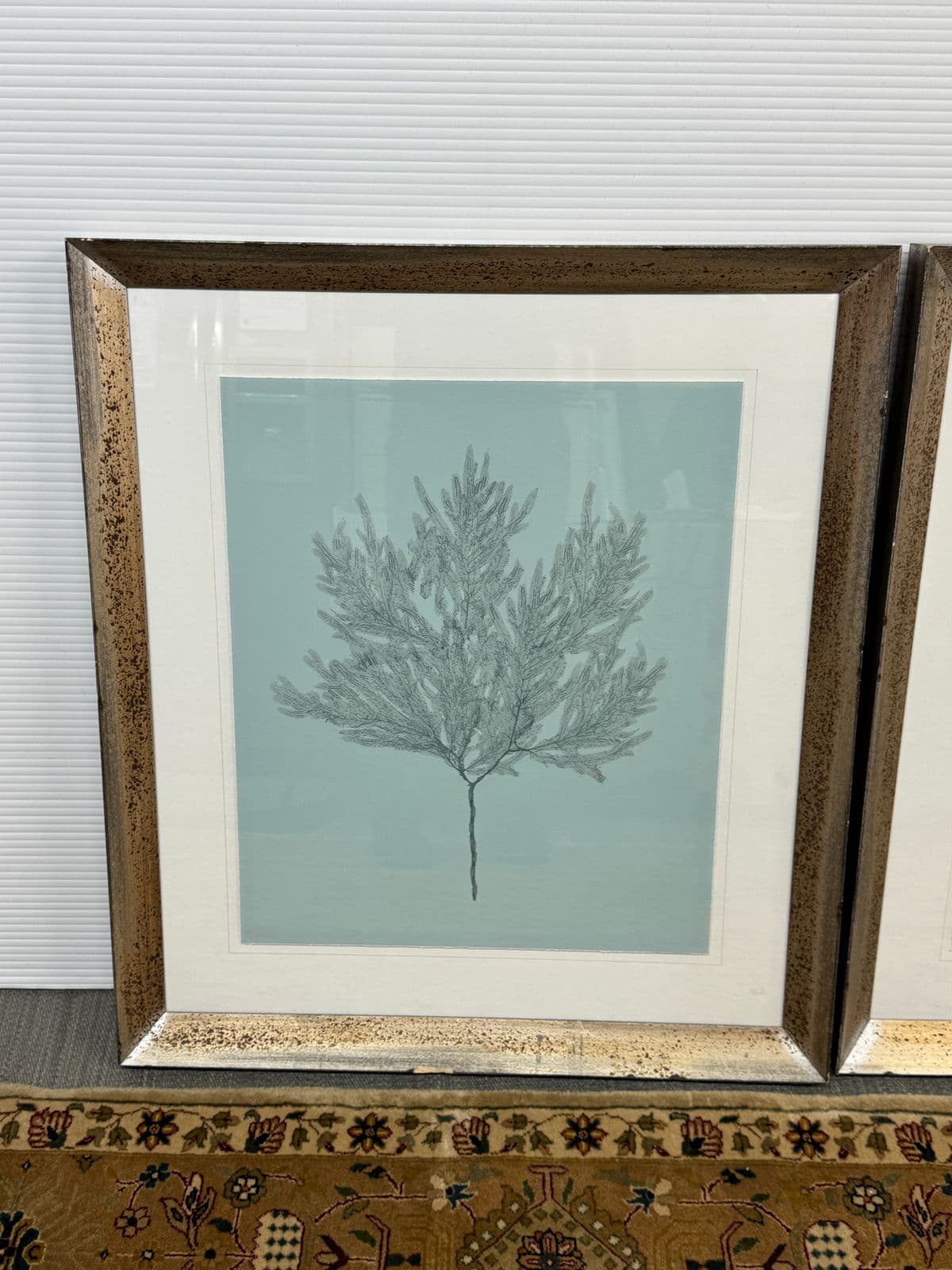 Soicher Marin Gallery Blue Ocean Coral Prints, Set of Three - Thumbnail 10