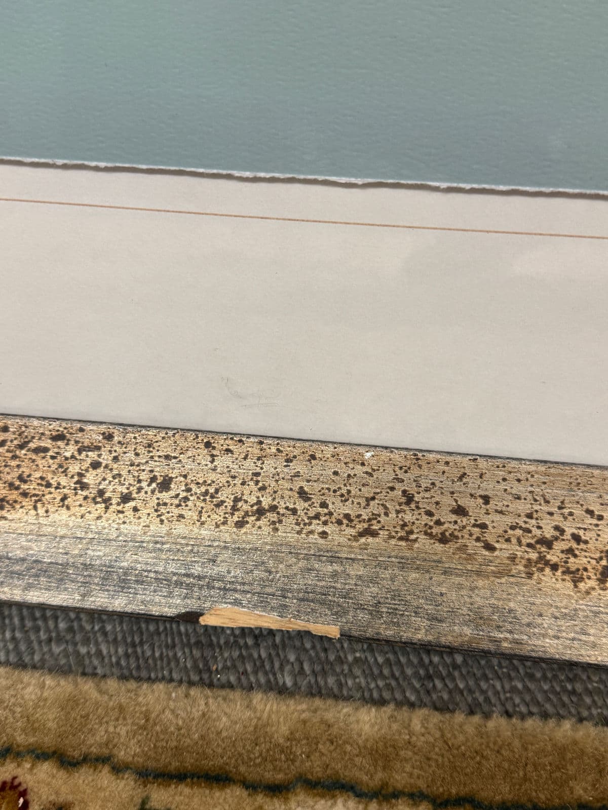 Soicher Marin Gallery Blue Ocean Coral Prints, Set of Three - Thumbnail 8