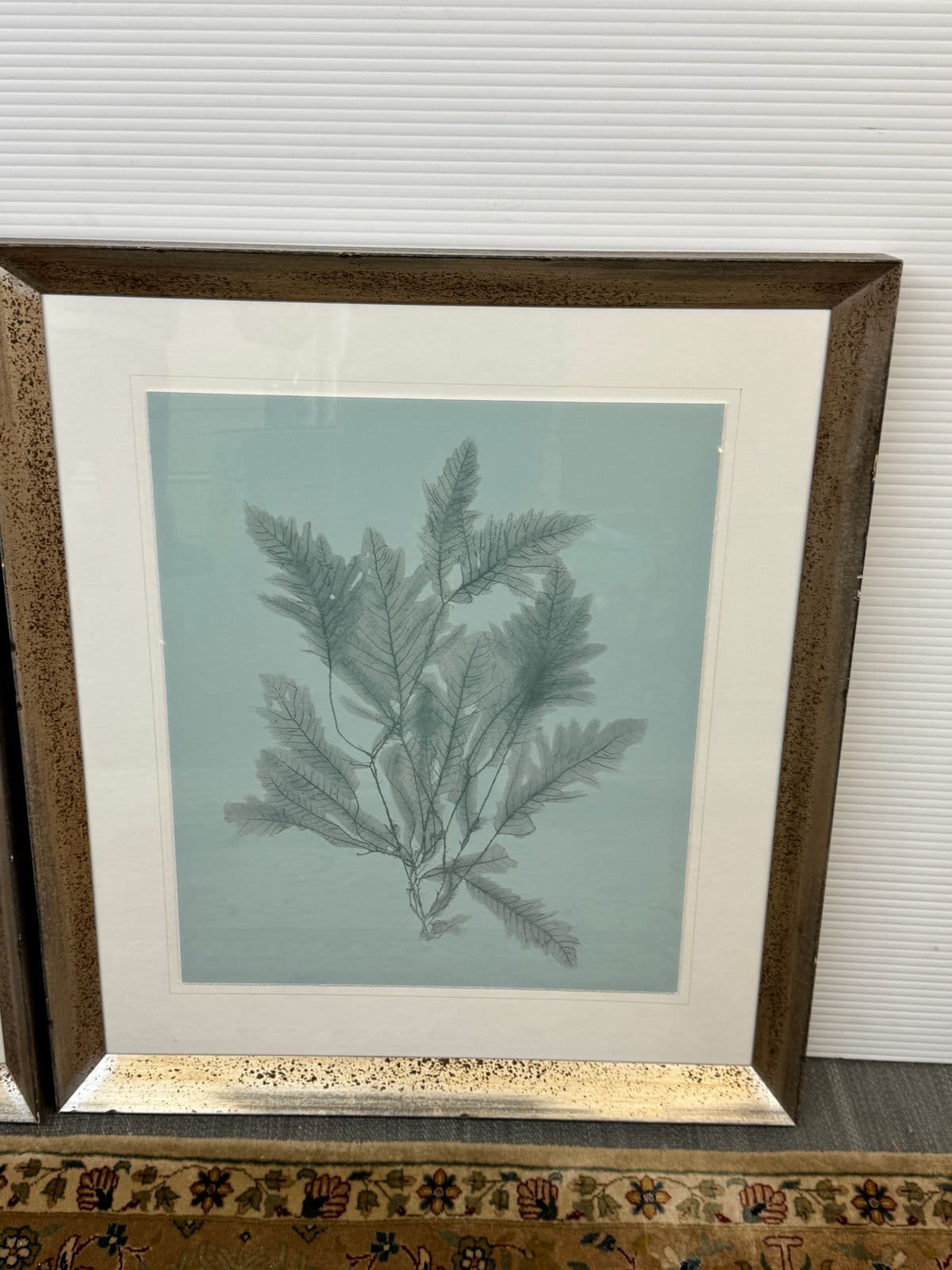 Soicher Marin Gallery Blue Ocean Coral Prints, Set of Three - Thumbnail 11