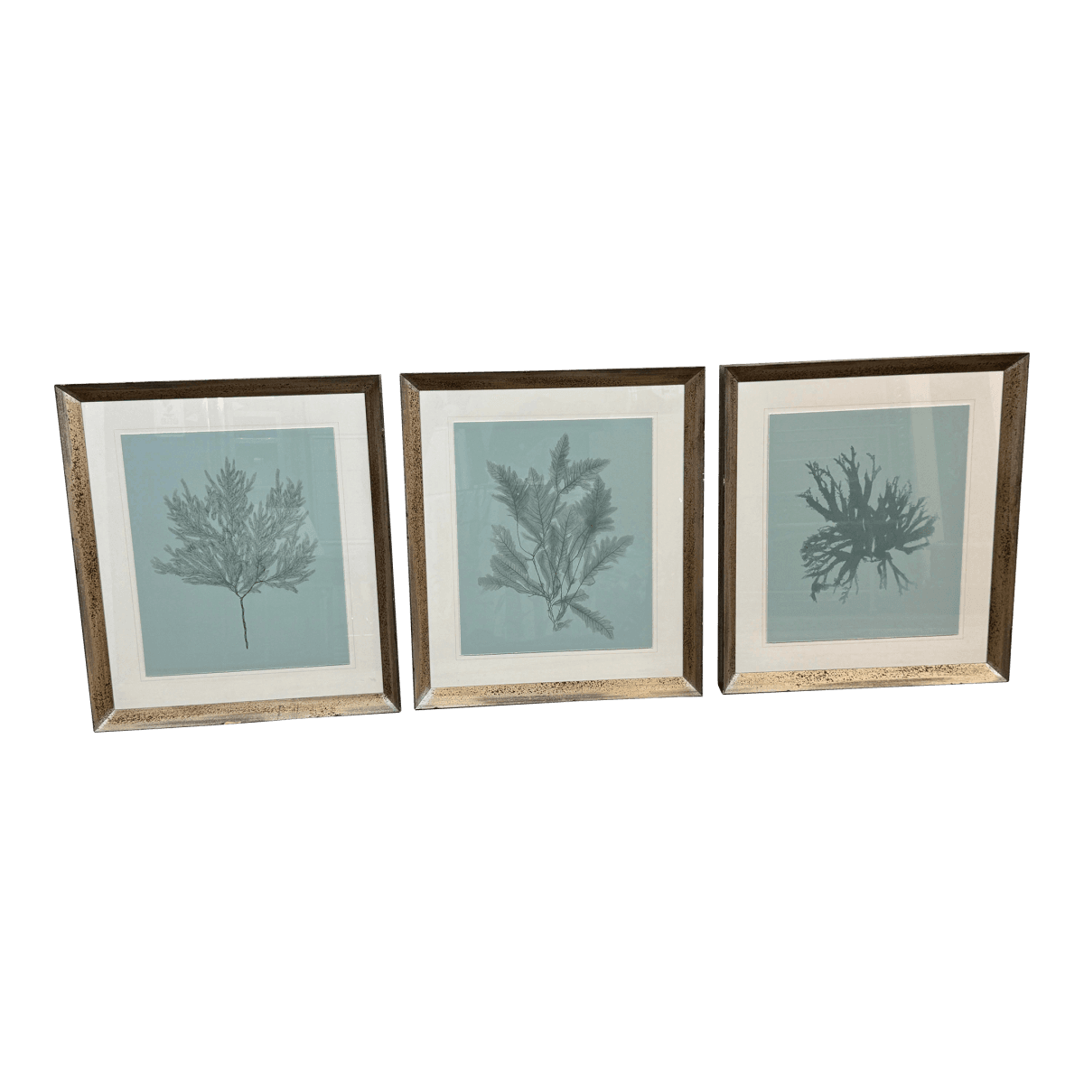 Soicher Marin Gallery Blue Ocean Coral Prints, Set of Three - Thumbnail 2