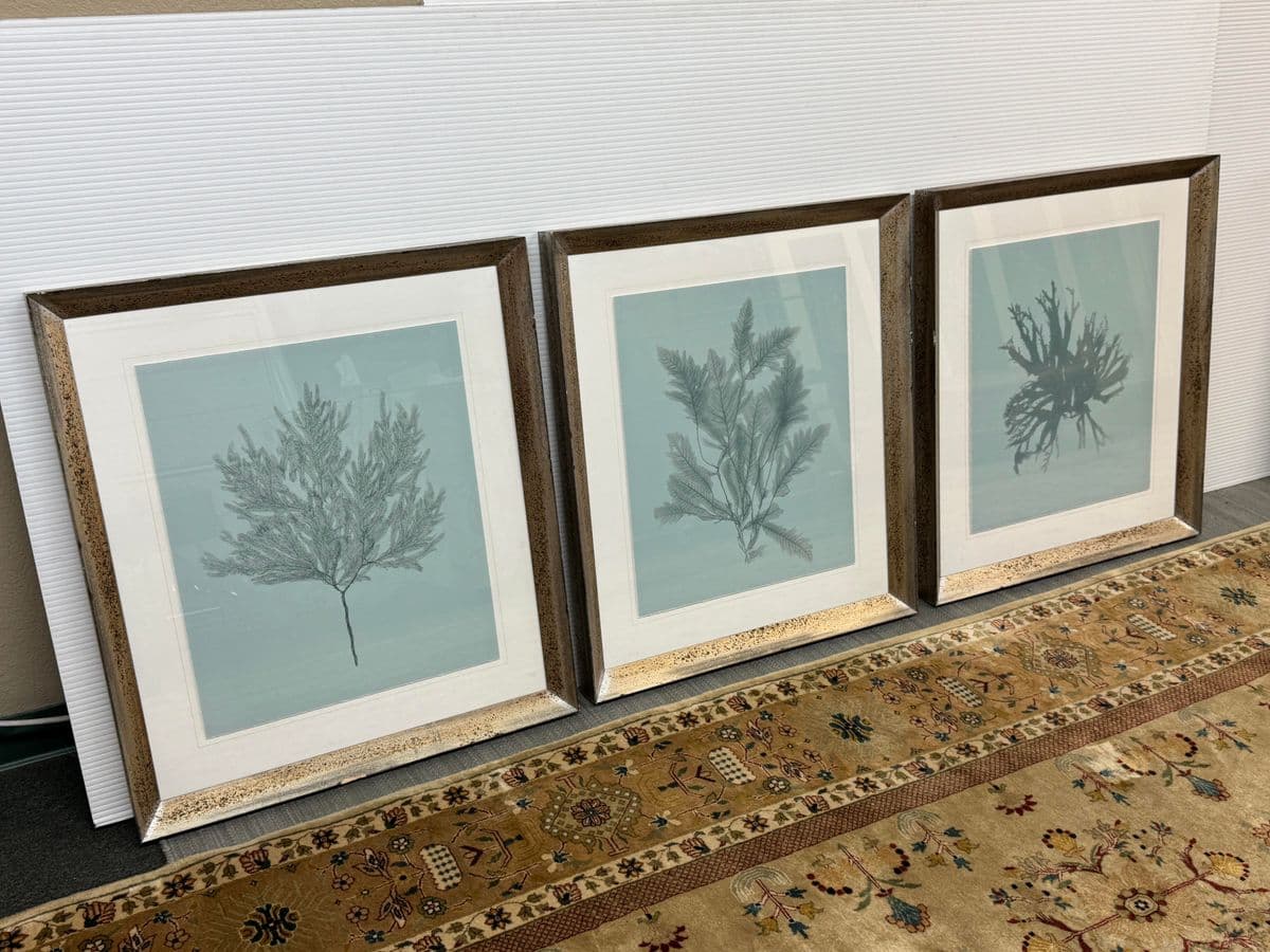 Soicher Marin Gallery Blue Ocean Coral Prints, Set of Three - Thumbnail 3