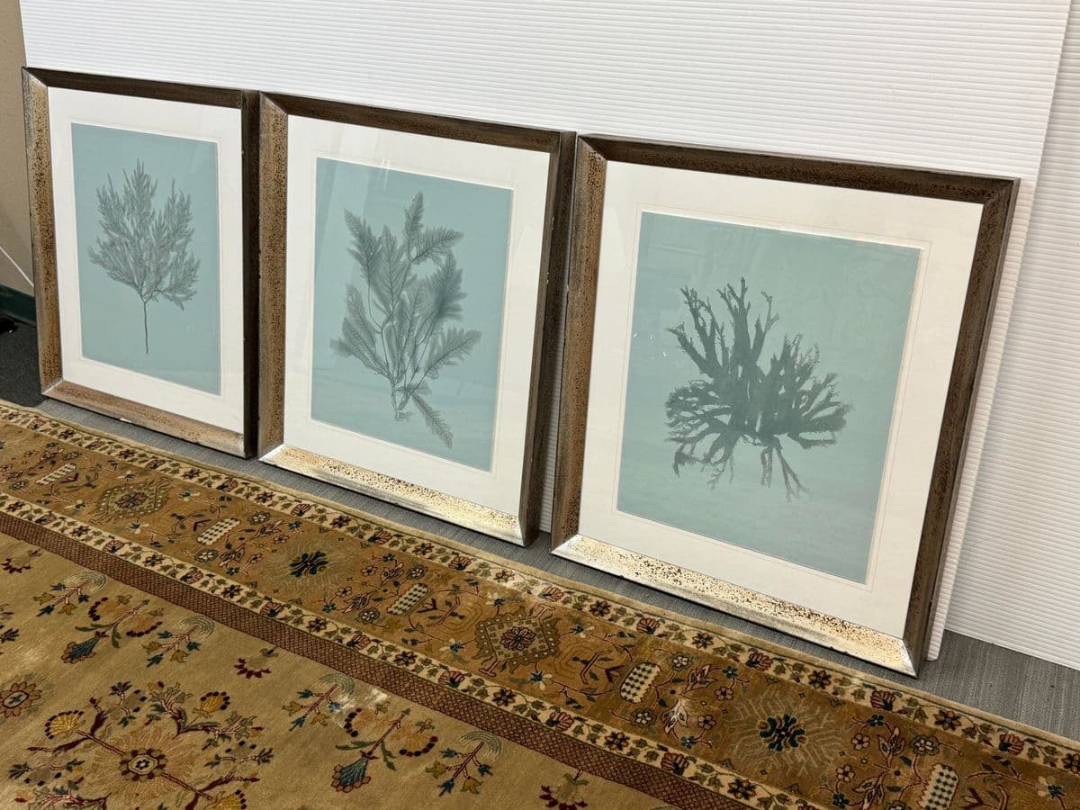 Soicher Marin Gallery Blue Ocean Coral Prints, Set of Three - Thumbnail 4