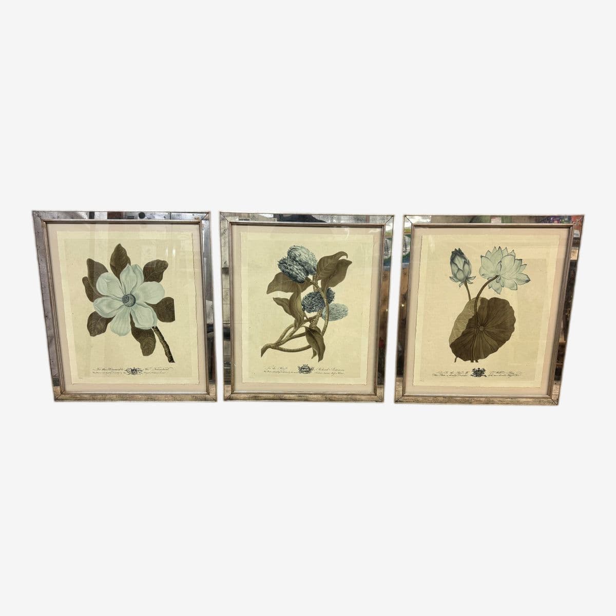 Trowbridge Gallery Imperial Flowers Original Prints, Set of Three - Image 1
