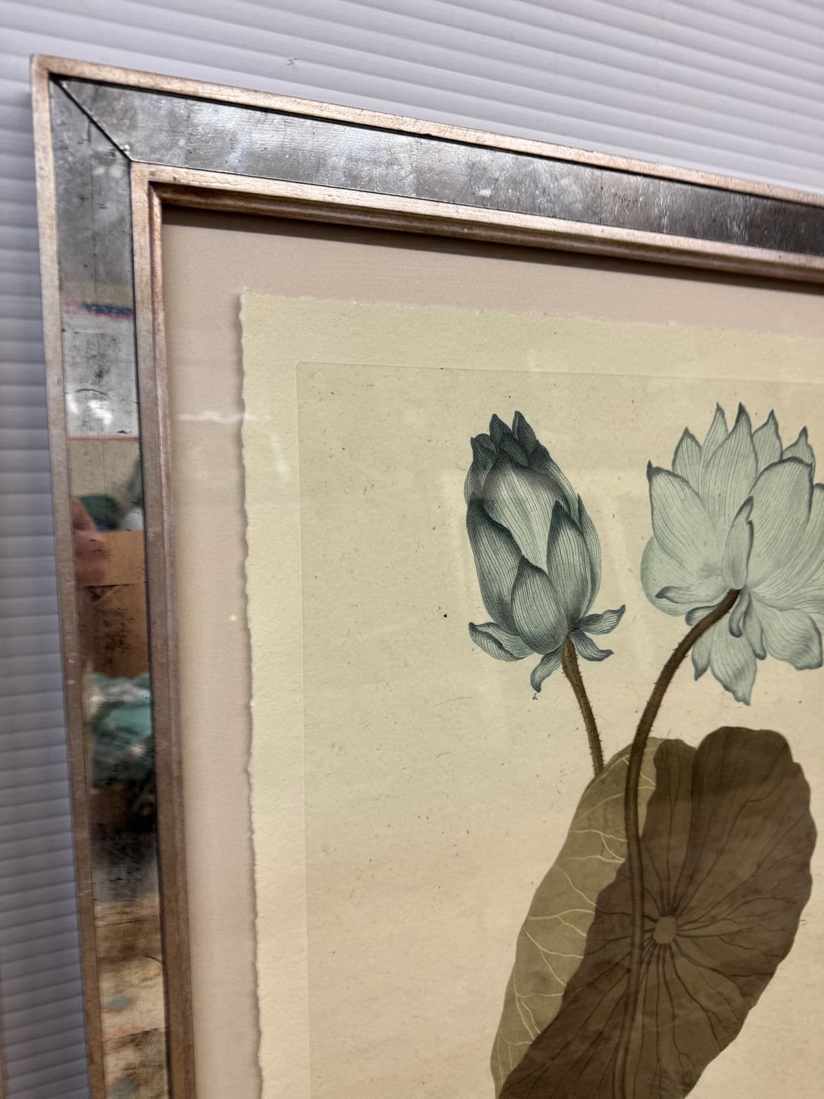 Trowbridge Gallery Imperial Flowers Original Prints, Set of Three - Thumbnail 4