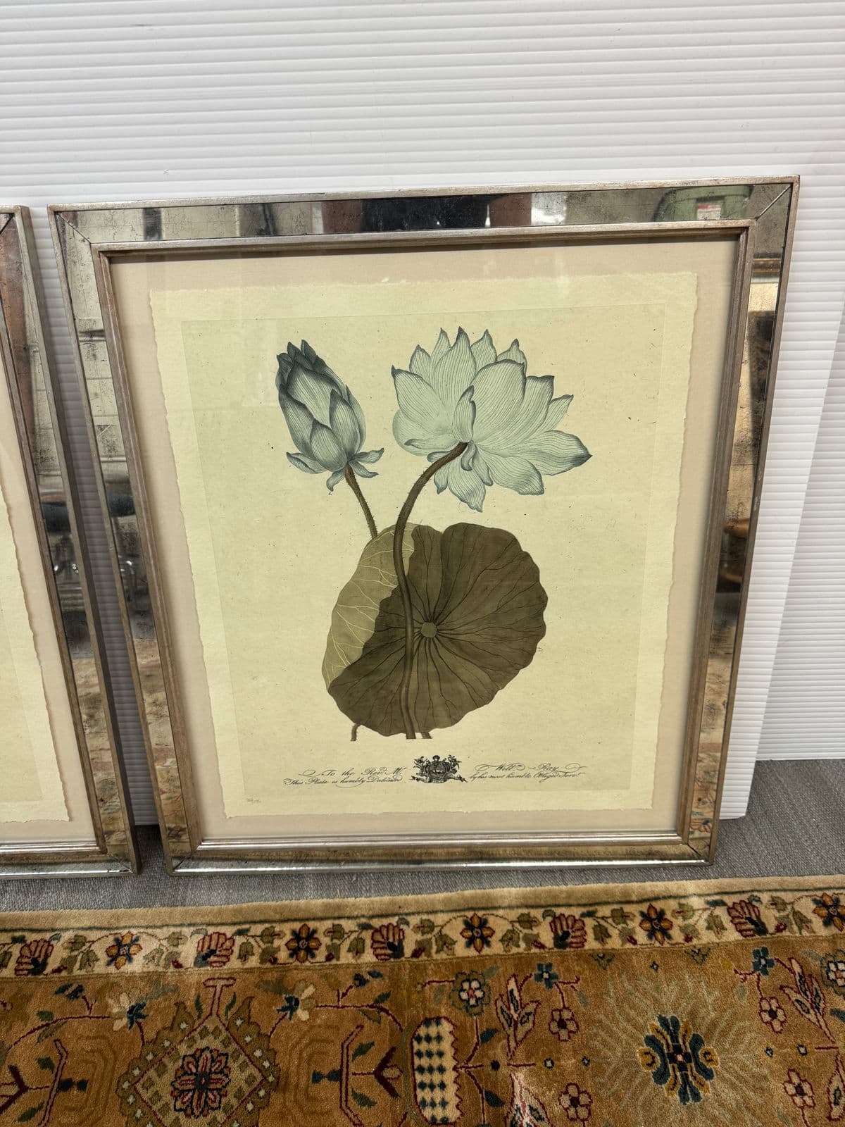 Trowbridge Gallery Imperial Flowers Original Prints, Set of Three - Thumbnail 13