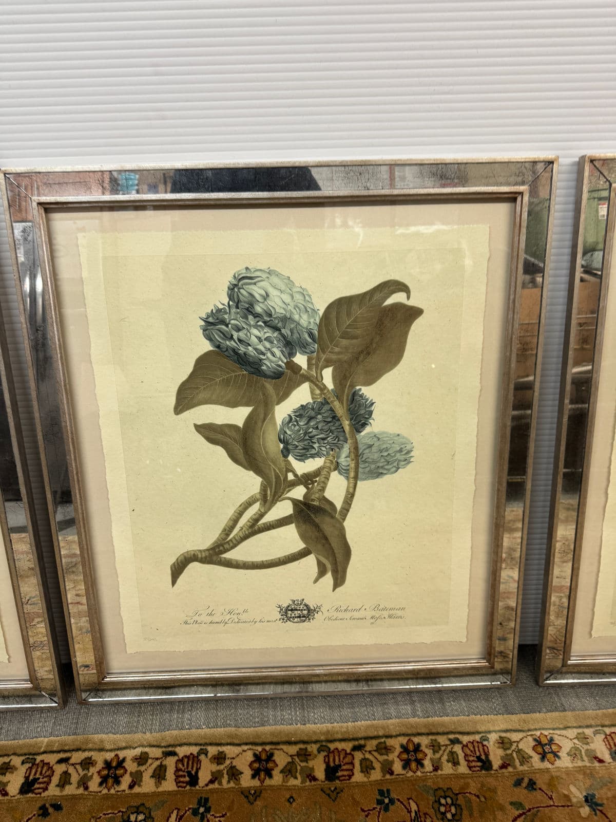 Trowbridge Gallery Imperial Flowers Original Prints, Set of Three - Thumbnail 12