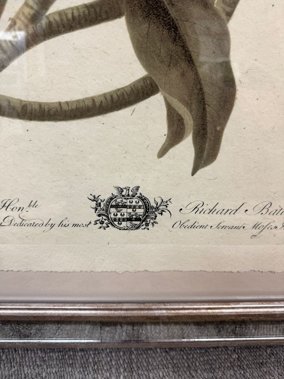 Trowbridge Gallery Imperial Flowers Original Prints, Set of Three - Thumbnail 8