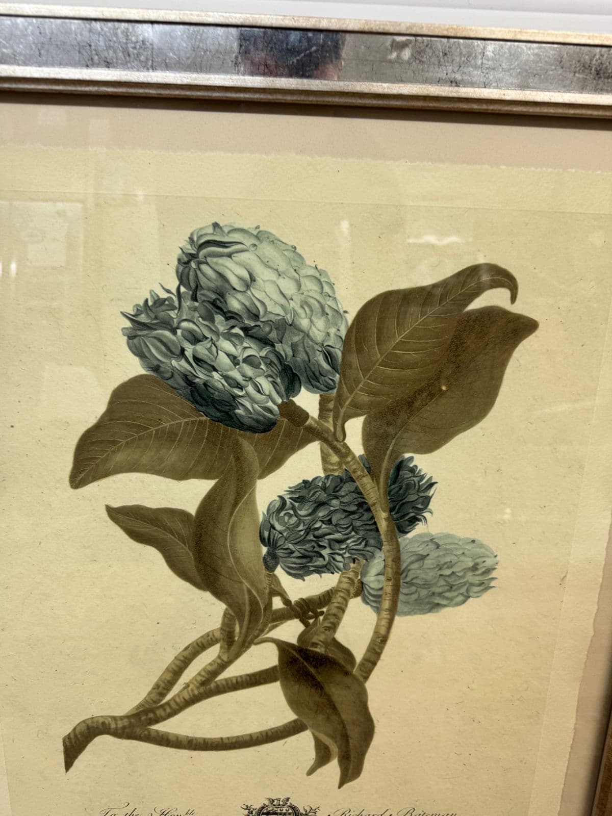 Trowbridge Gallery Imperial Flowers Original Prints, Set of Three - Thumbnail 9