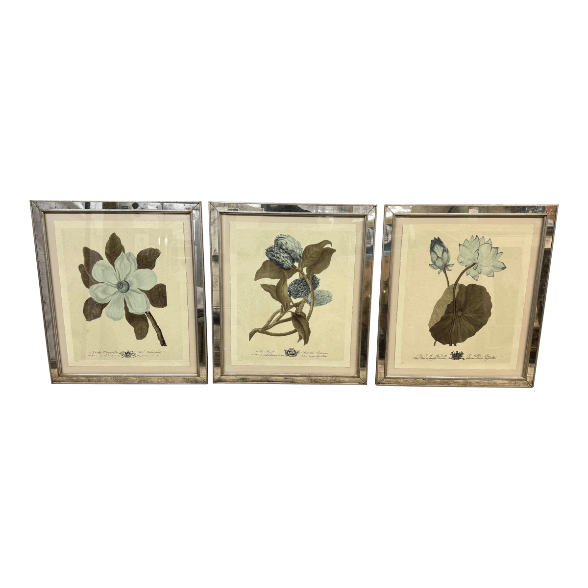 Trowbridge Gallery Imperial Flowers Original Prints, Set of Three - Thumbnail 2