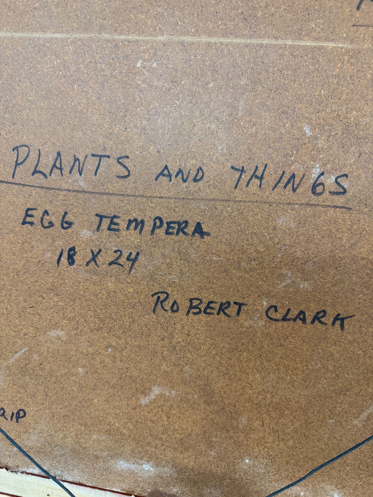 Robert Clark "Plants and Things" Original Artwork, Signed - Thumbnail 5