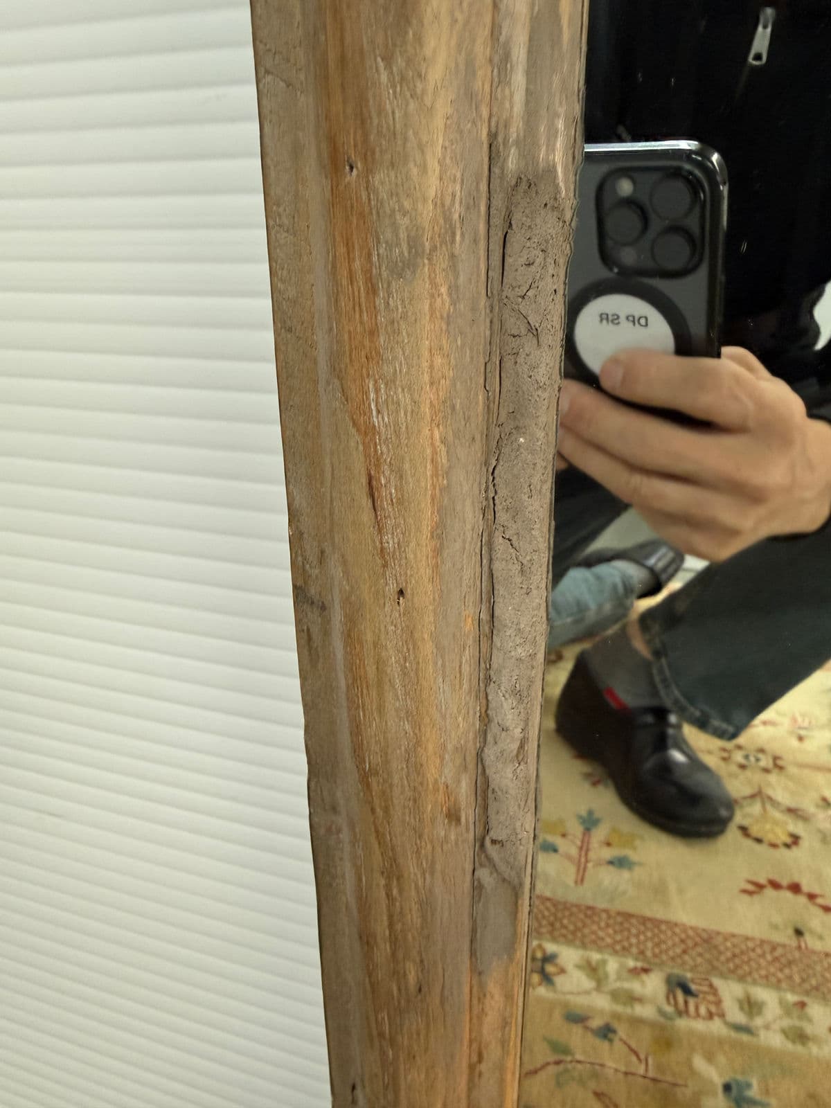 Restoration Hardware Trumeau Mirror - Thumbnail 7