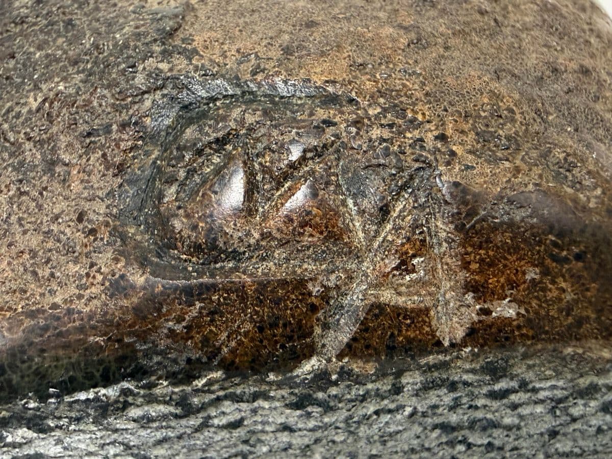 African Shona Stone Child Sculpture - Thumbnail 12