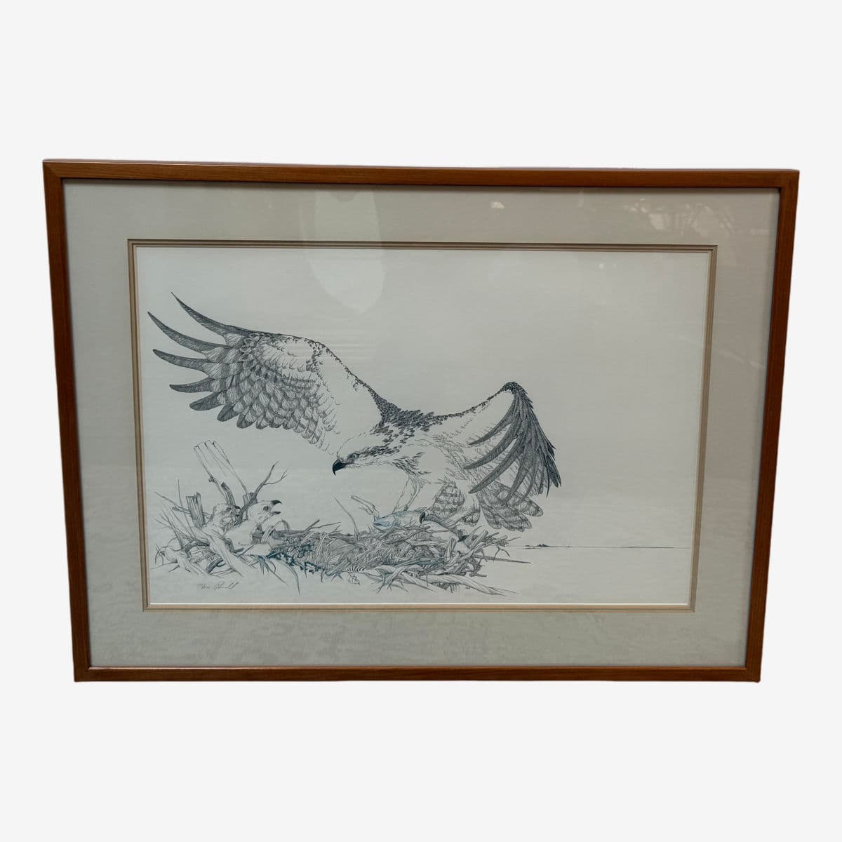 Peter Parnall Osprey Hunting Art Print, Signed - Image 1