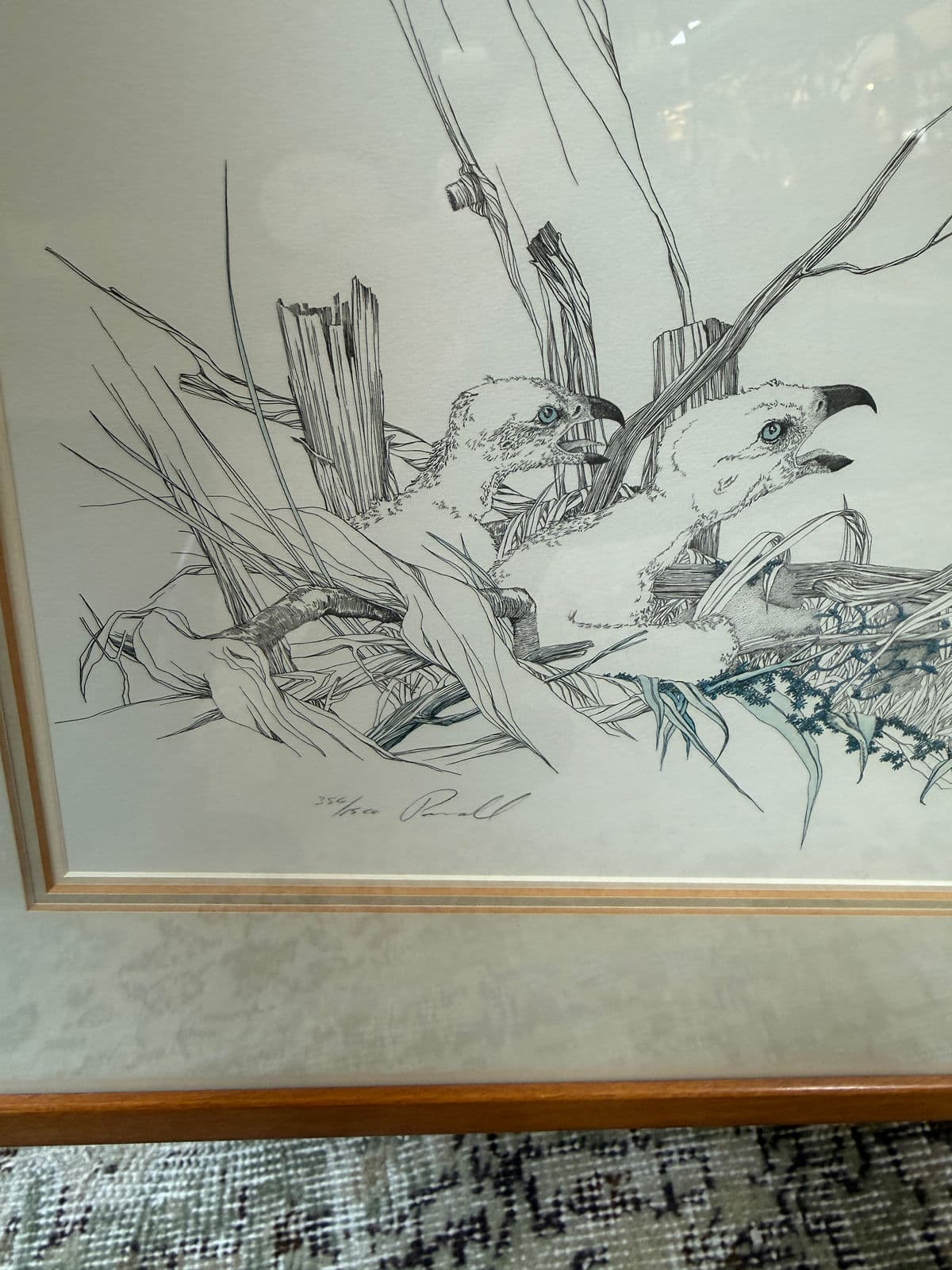 Peter Parnall Osprey Hunting Art Print, Signed - Thumbnail 6