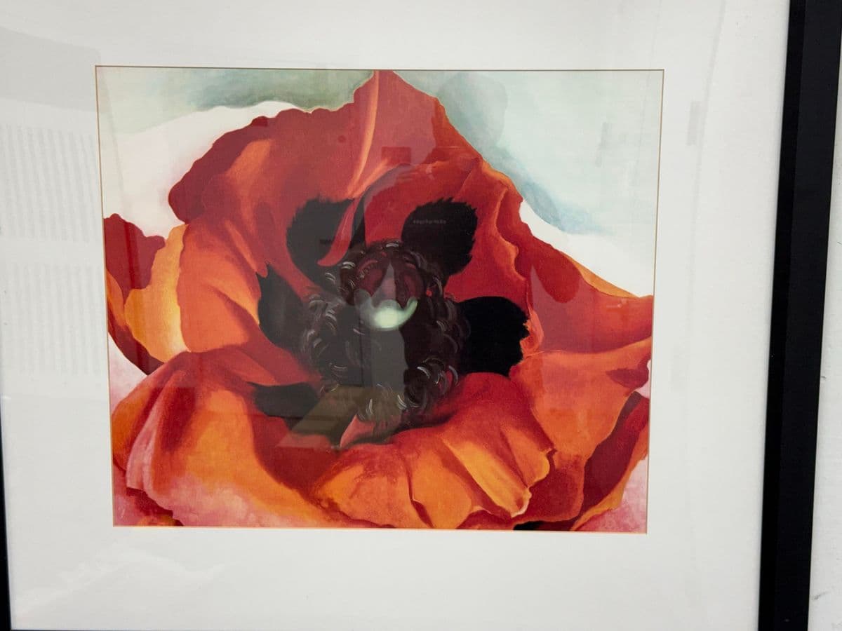 Georgia O’Keeffe "Poppy" Z Gallerie Custom Framed Print, Circa 2005 - Thumbnail 9