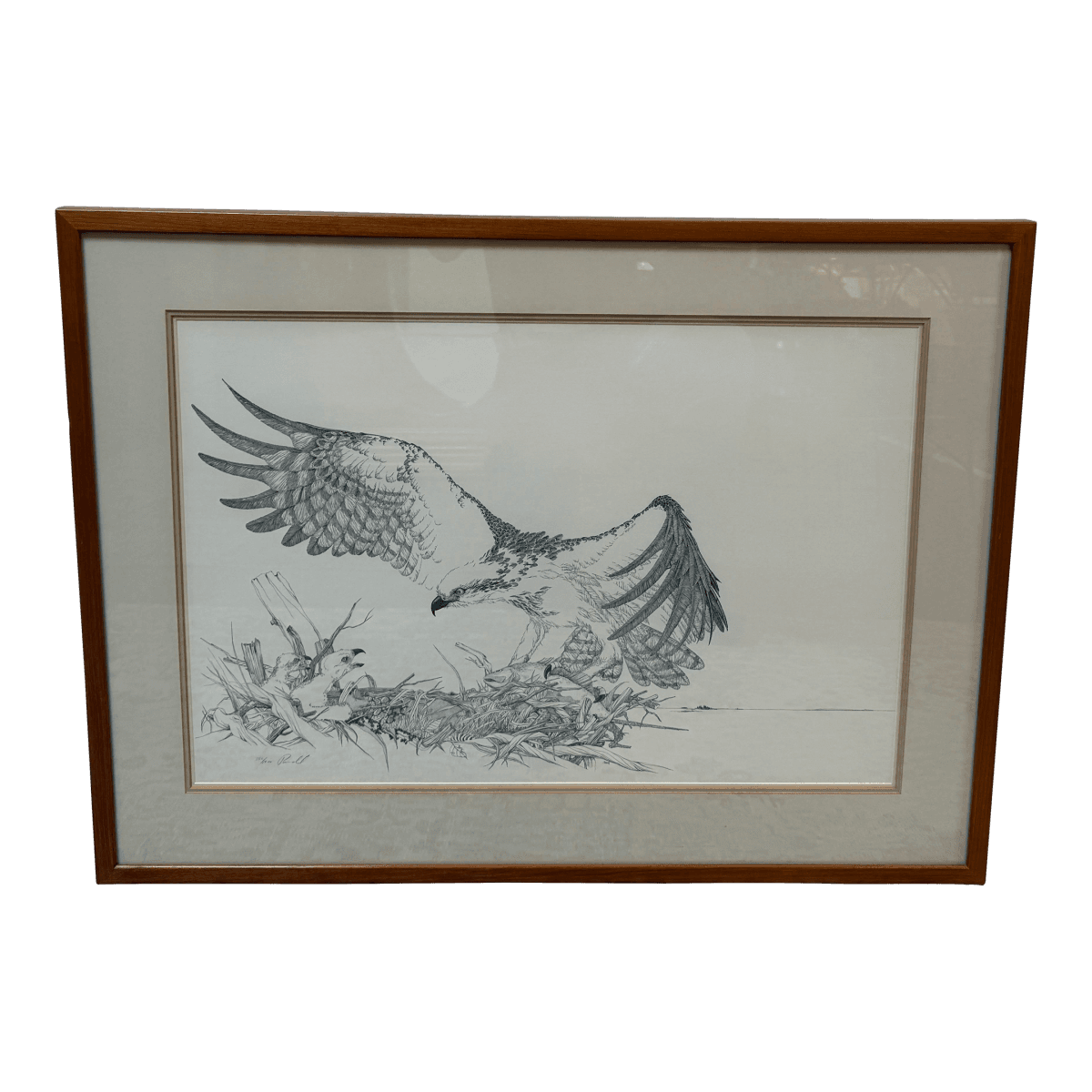 Peter Parnall Osprey Hunting Art Print, Signed - Thumbnail 2