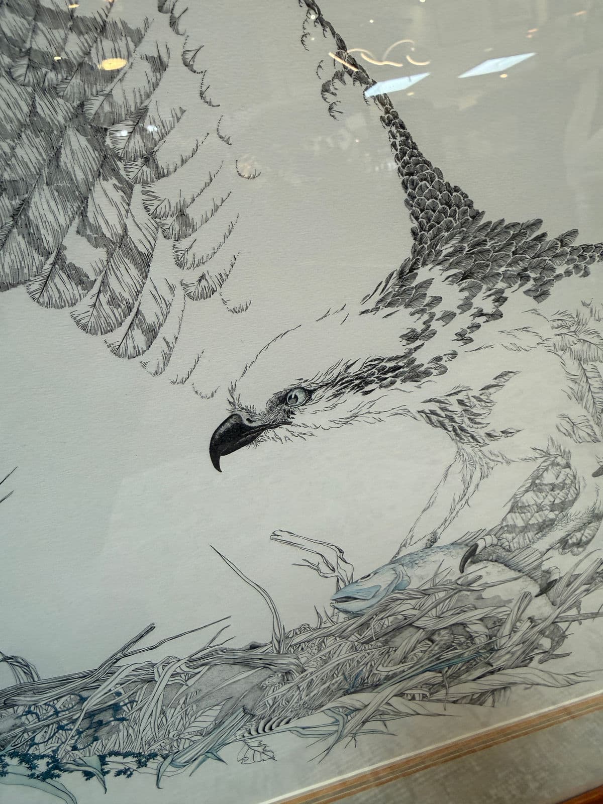 Peter Parnall Osprey Hunting Art Print, Signed - Thumbnail 12