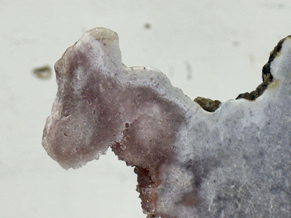 Pink Amethyst Crystal Slab on Stand - Thumbnail 6