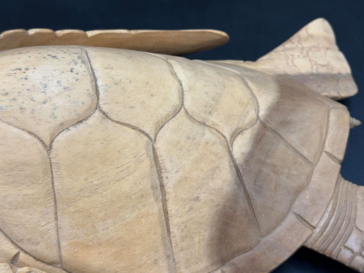 Coastal Carved Wood Sea Turtle Sculpture - Thumbnail 5