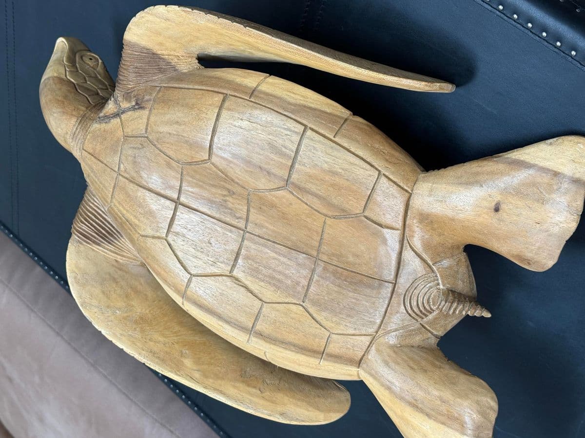 Coastal Carved Wood Sea Turtle Sculpture - Thumbnail 9