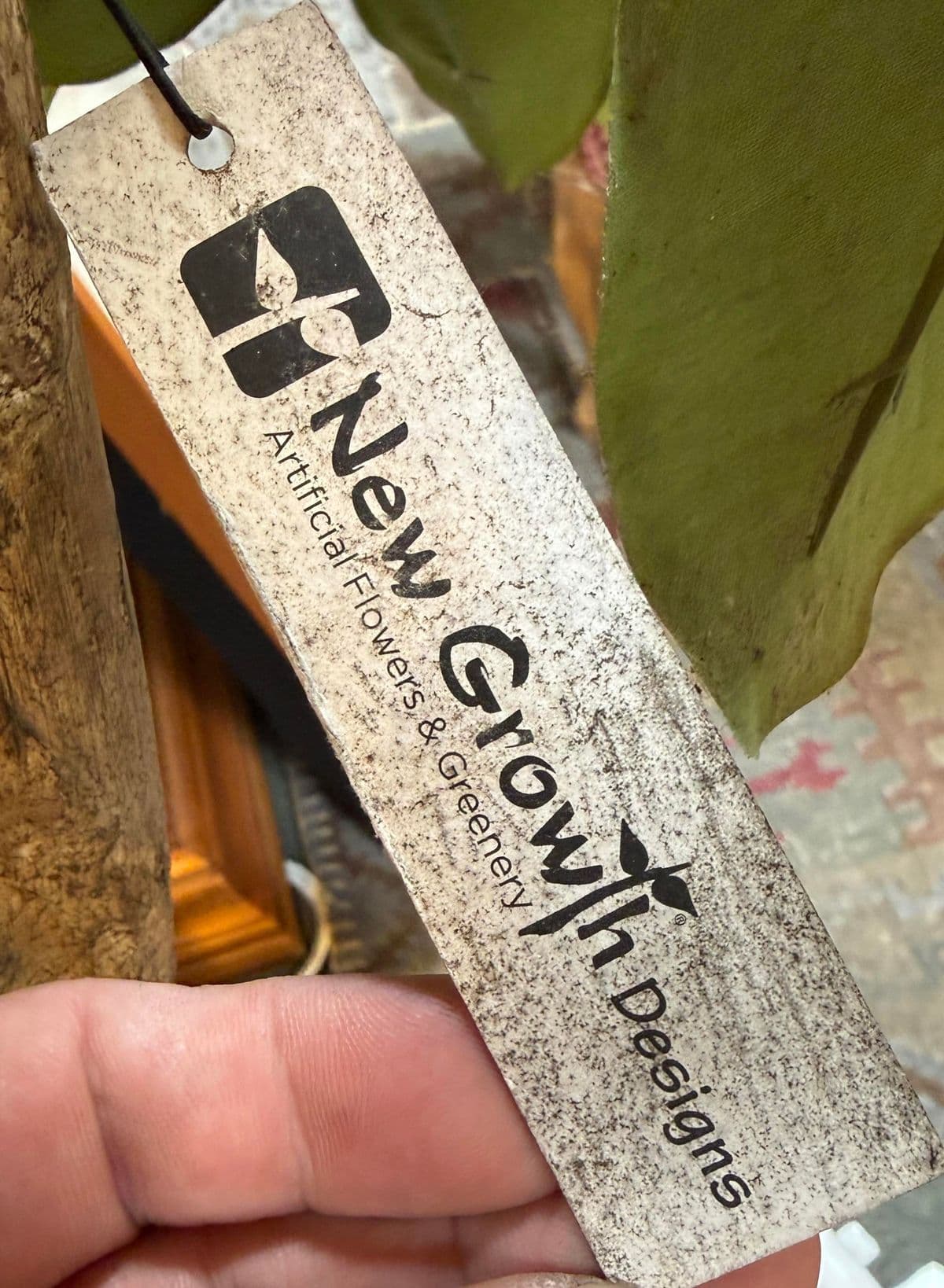 New Growth Design Banyan Tree With Pot - Thumbnail 5