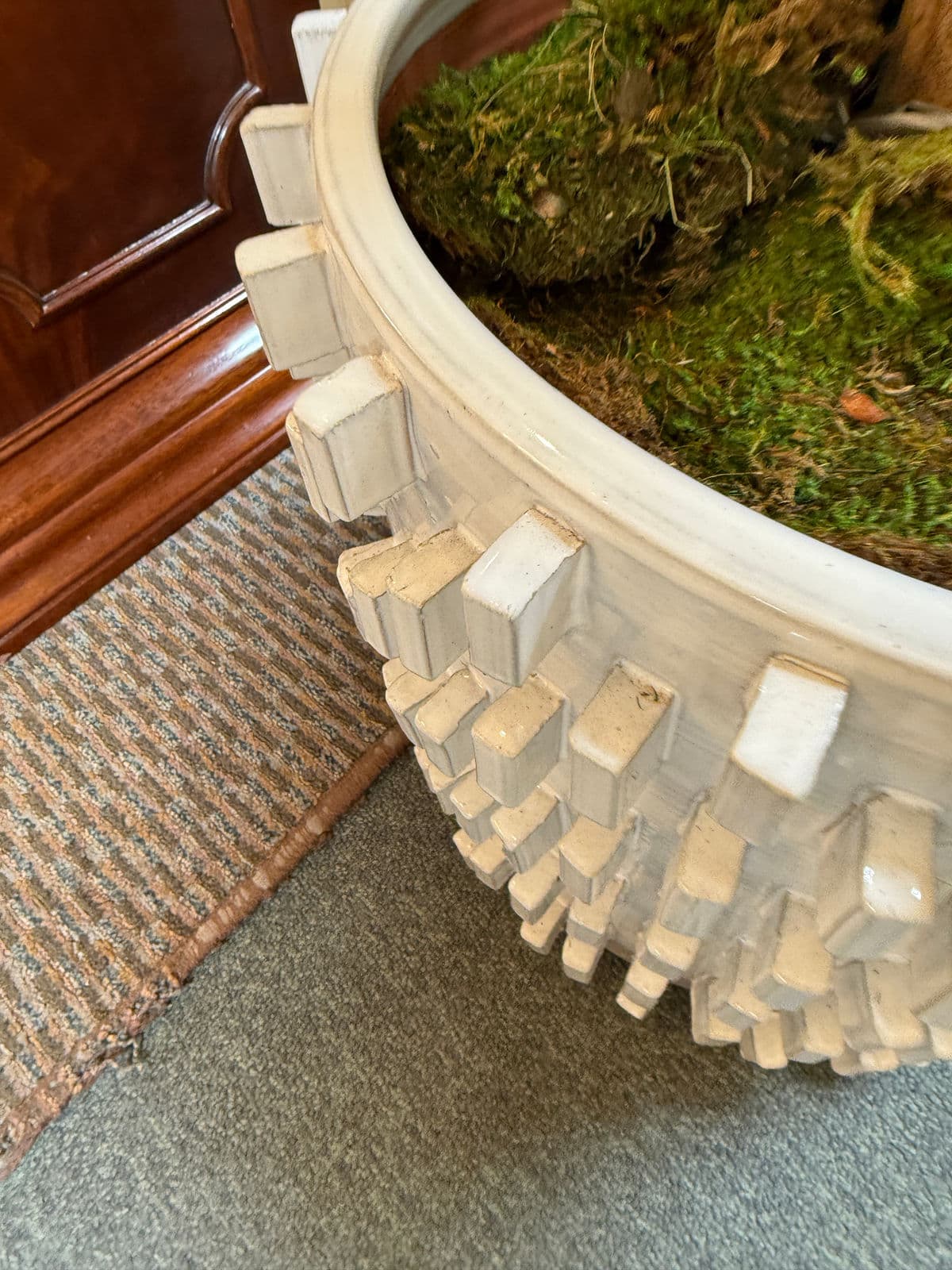 New Growth Design Banyan Tree With Pot - Thumbnail 7