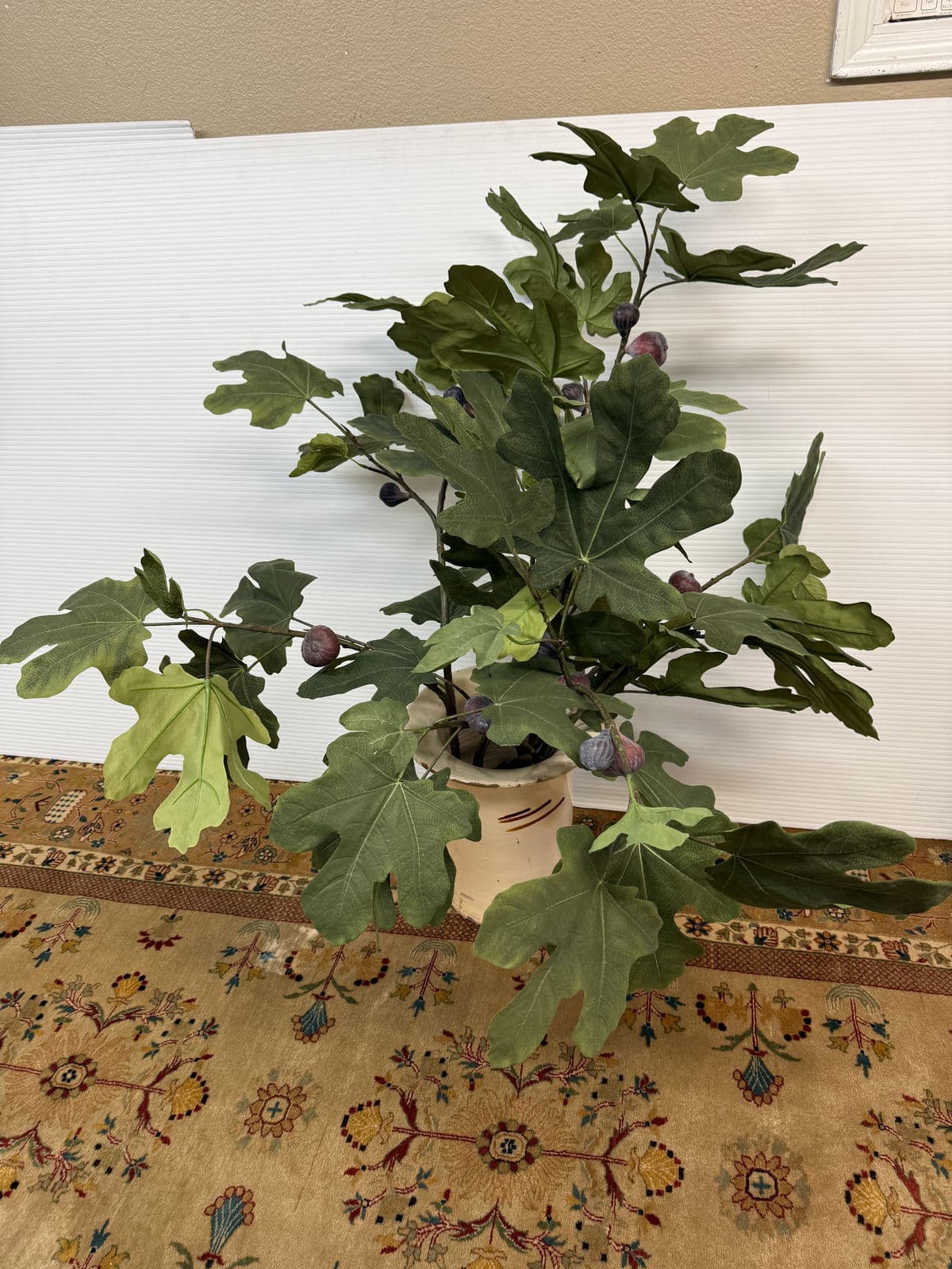 Faux Fig Tree in Ceramic Pot - Thumbnail 3