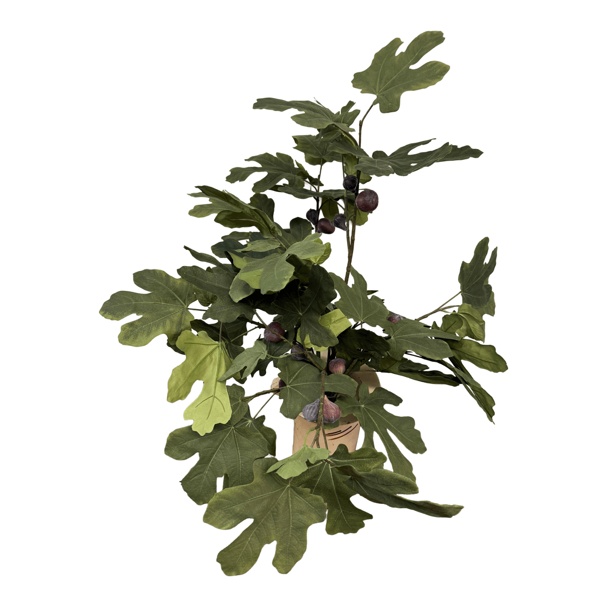 Faux Fig Tree in Ceramic Pot - Thumbnail 2