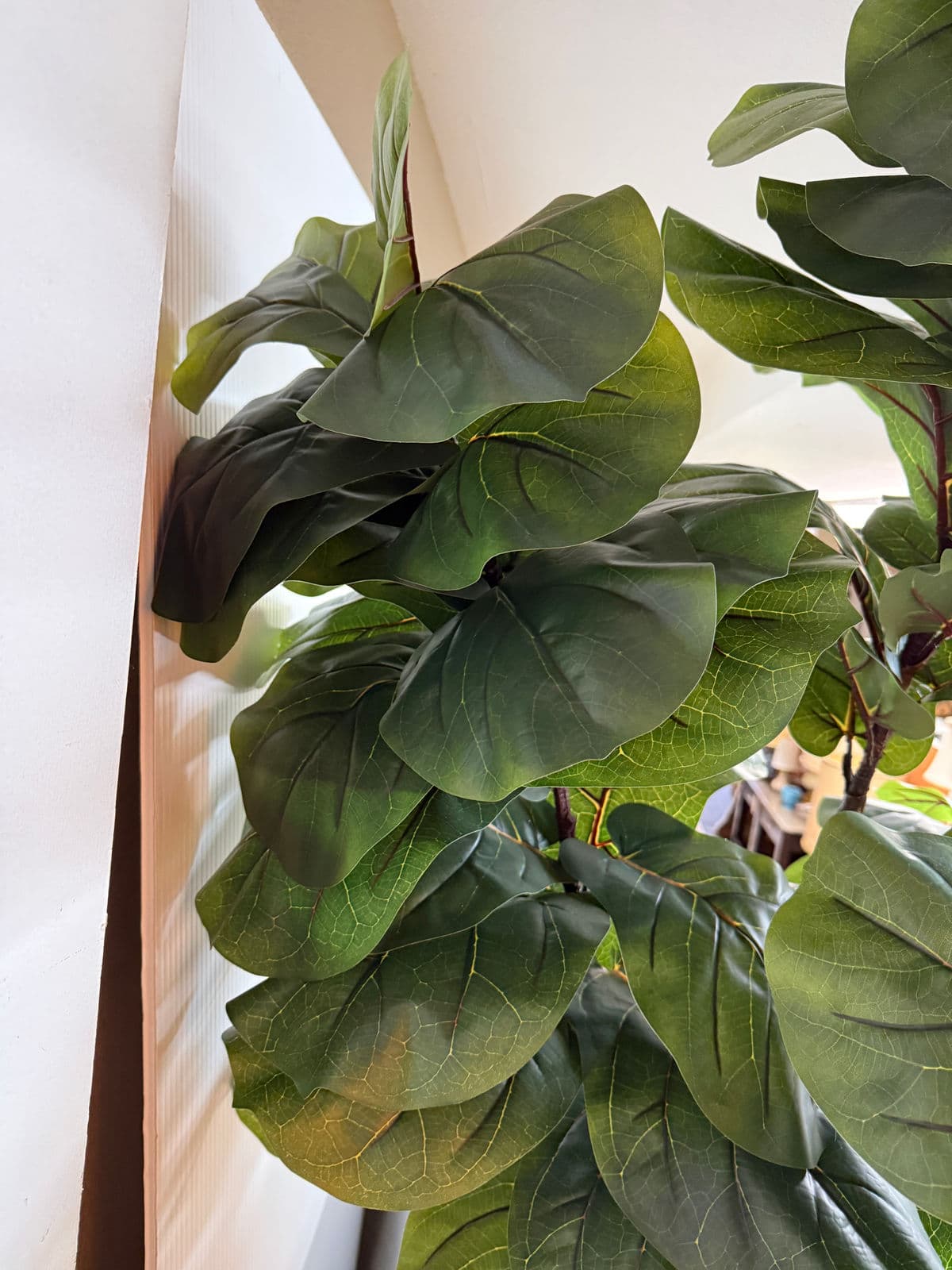 Faux Fiddle Tree in Ceramic Pottery - Thumbnail 4